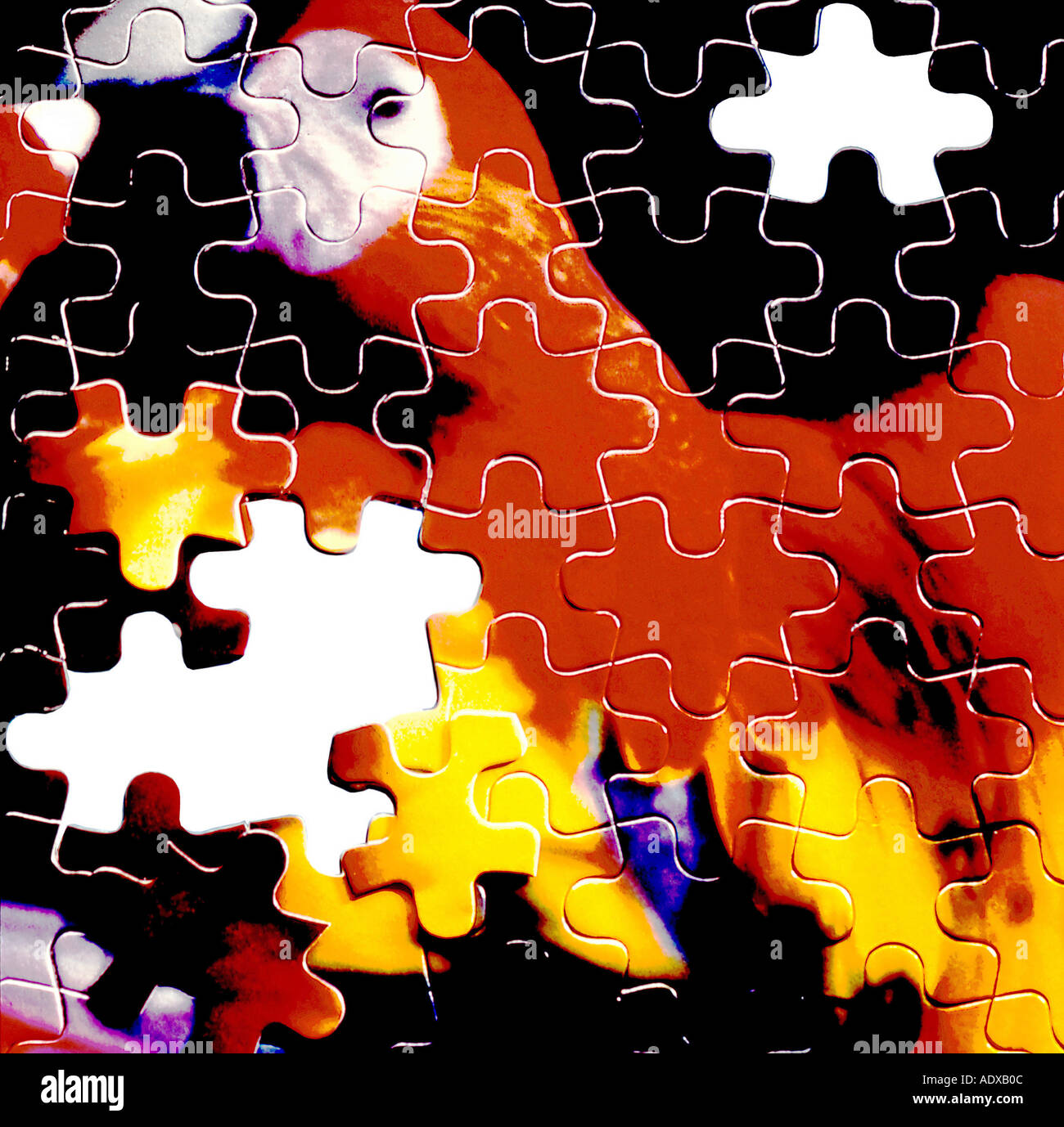 Effet puzzle perroquet Concepts squared Amazonie brésilienne tro pical  pièces manquantes, la nature et l'environnement des animaux d'oiseaux  miscellaneo ara Photo Stock - Alamy