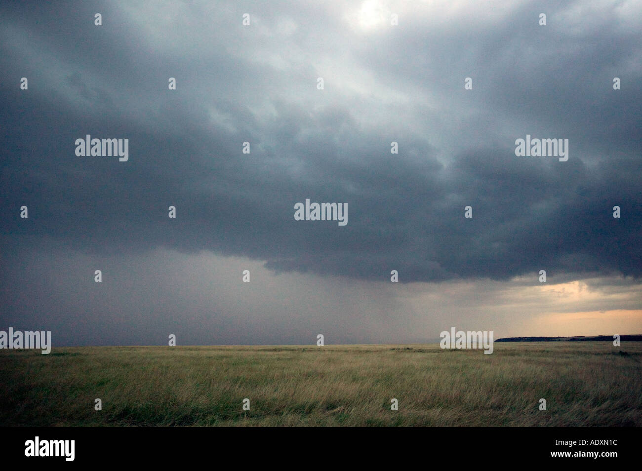 L'arrivée d'une tempête au coucher du soleil sur la réserve de Masai Mara Kenya Afrique de l'Est Banque D'Images