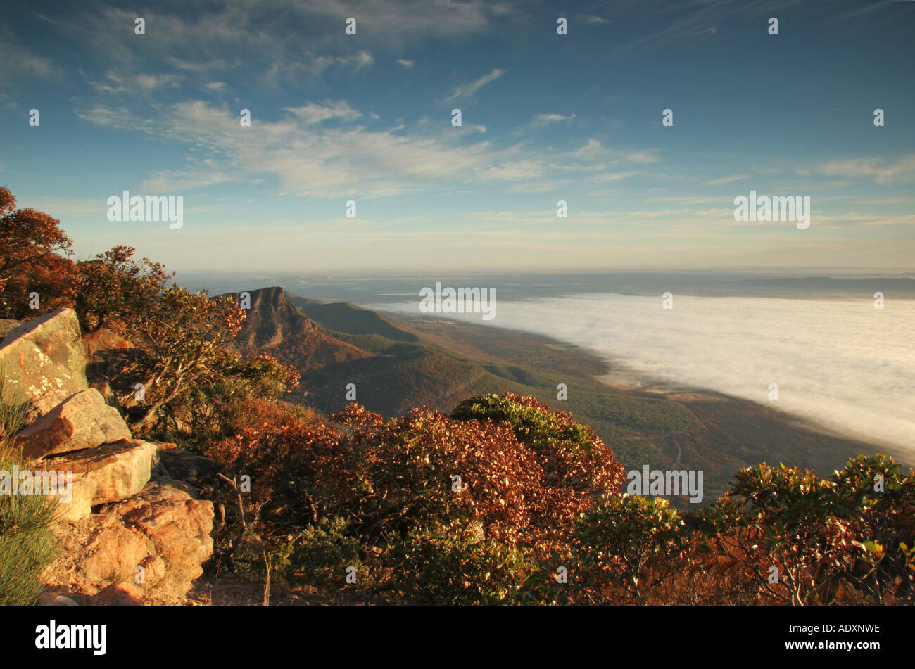 Du sommet du mont William dans les Grampians Banque D'Images