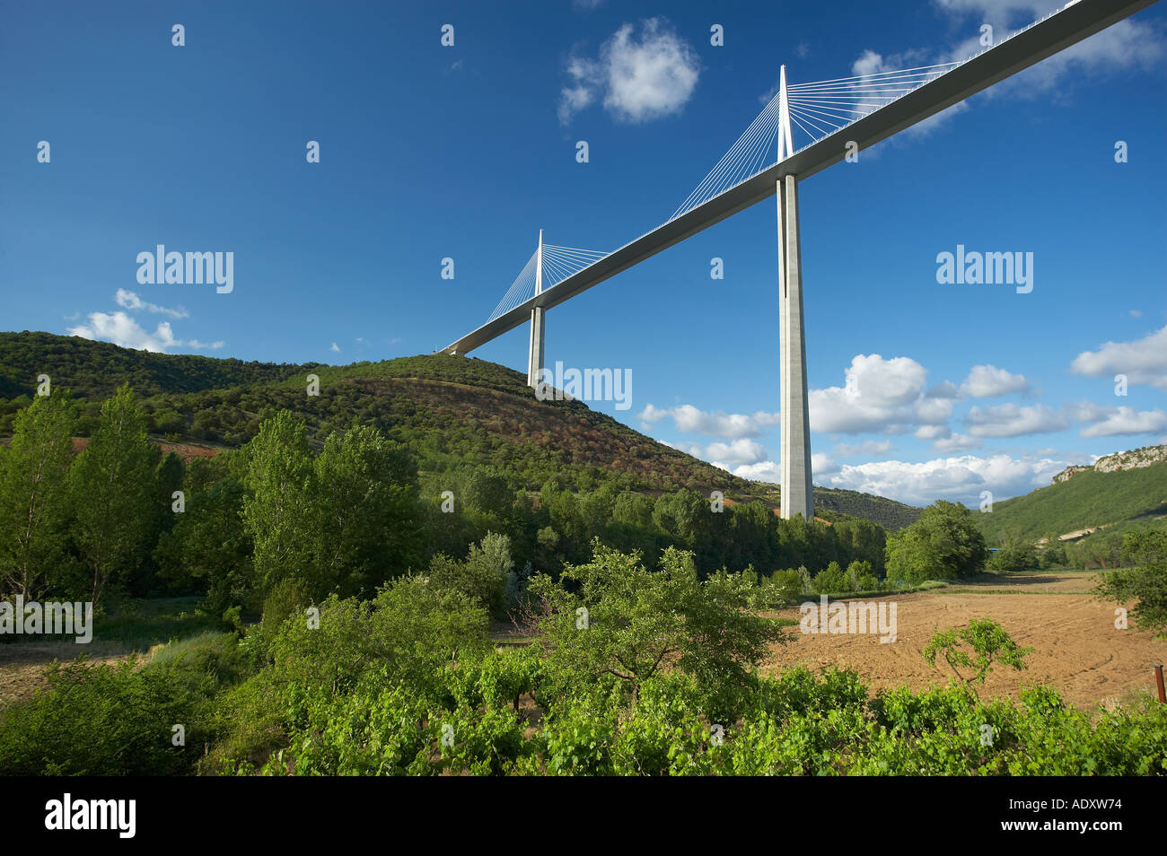 Viaduc de Millau enjambant les gorges du Tarn en Aveyron Midi Pyrénées France Banque D'Images
