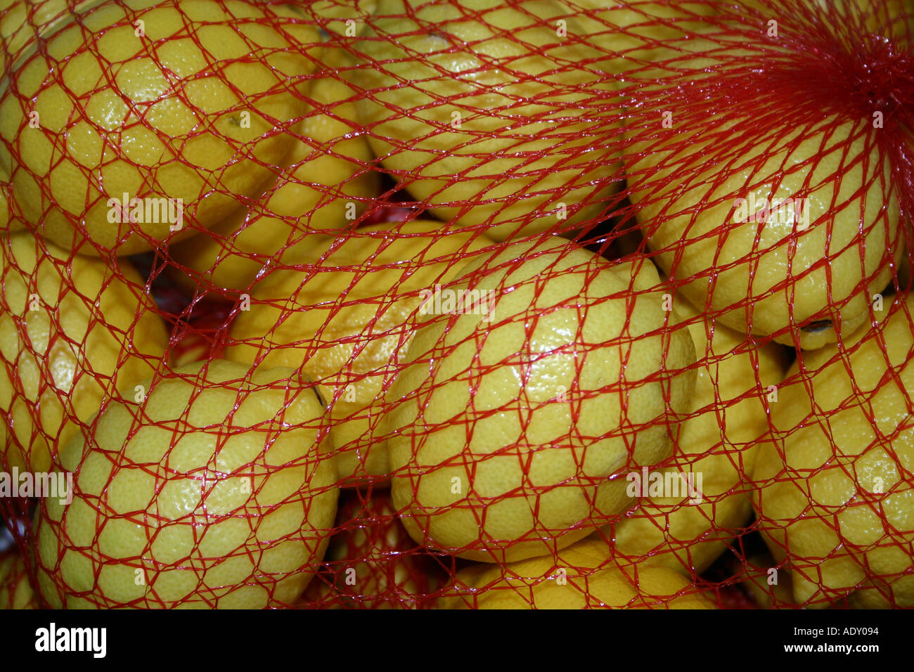 Les citrons à l'intérieur d'un filet rouge Banque D'Images