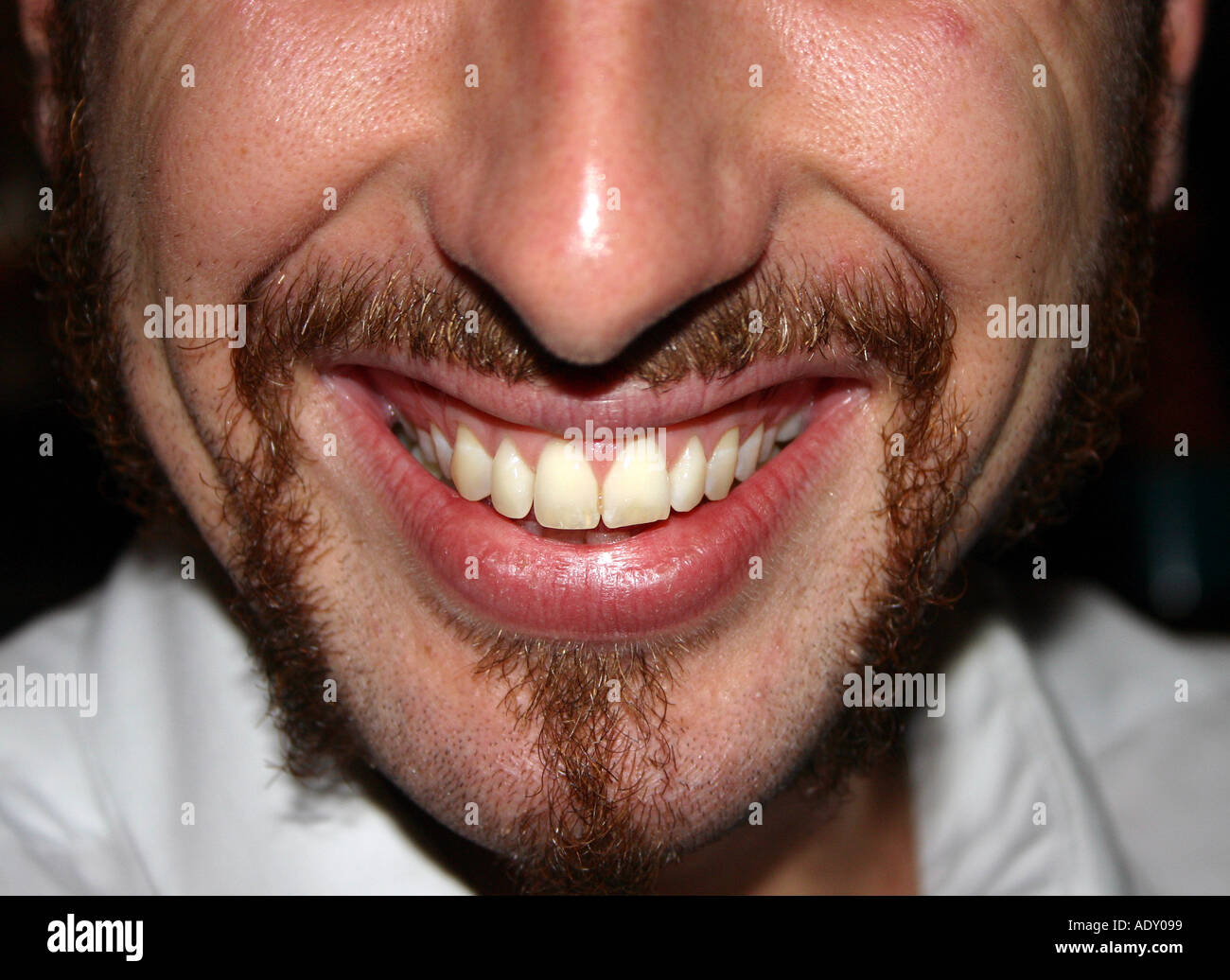 Un sourire heureux Banque D'Images