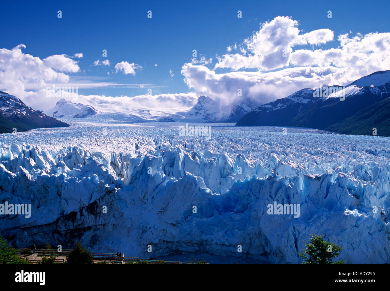 Glacier Perito Moreno la Patagonie Argentine Banque D'Images