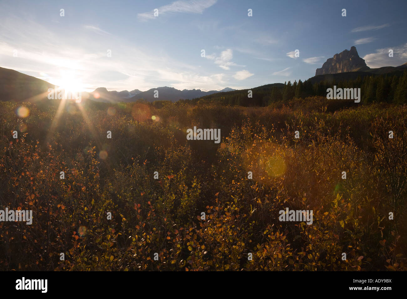 Coucher de soleil sur Paysage, vallée de la rivière Bow, Banff National Park, Alberta, Canada Banque D'Images