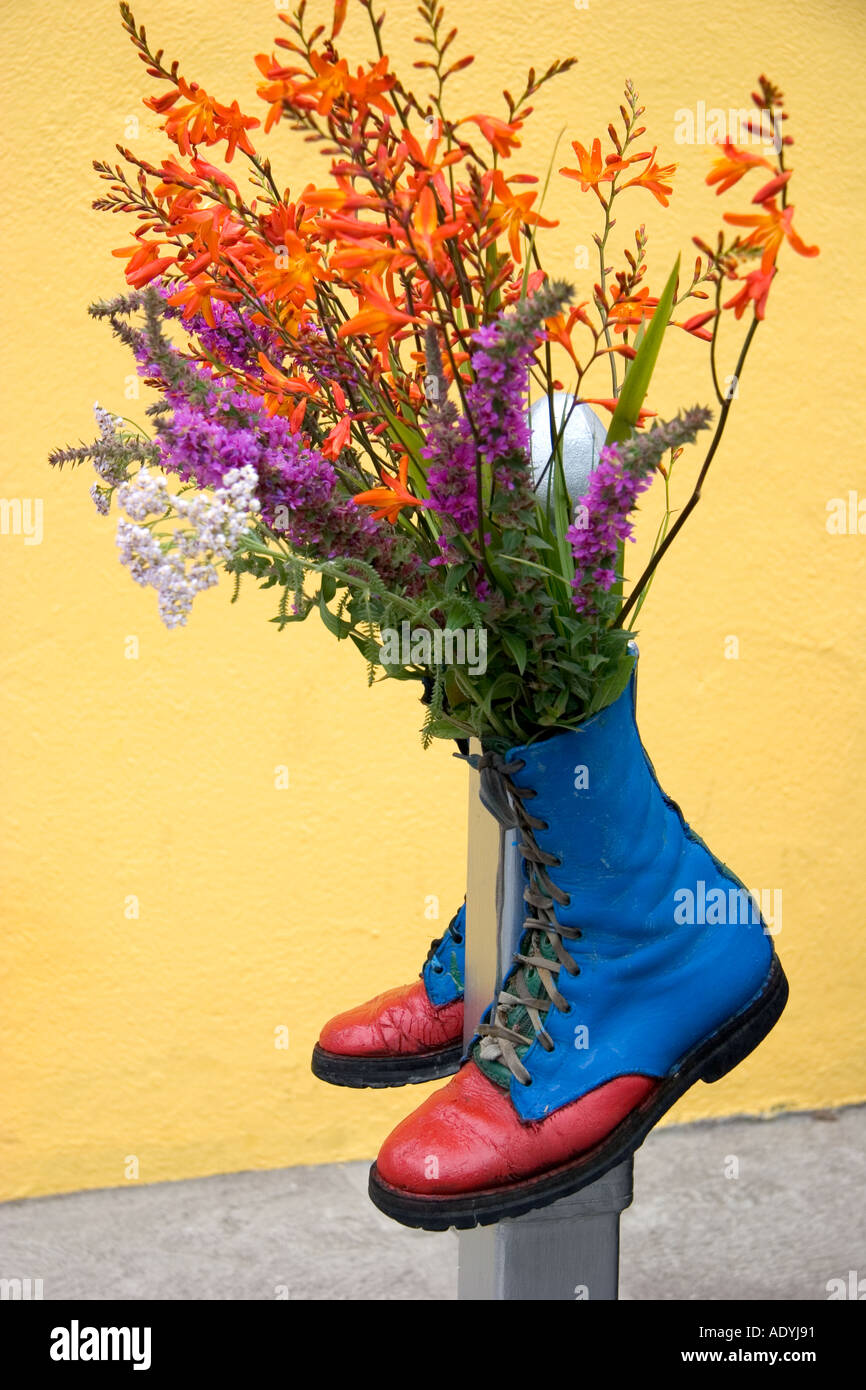 Paire de bottes Doc Marten avec fleurs en croissance dans l'Irlande Dingle Banque D'Images