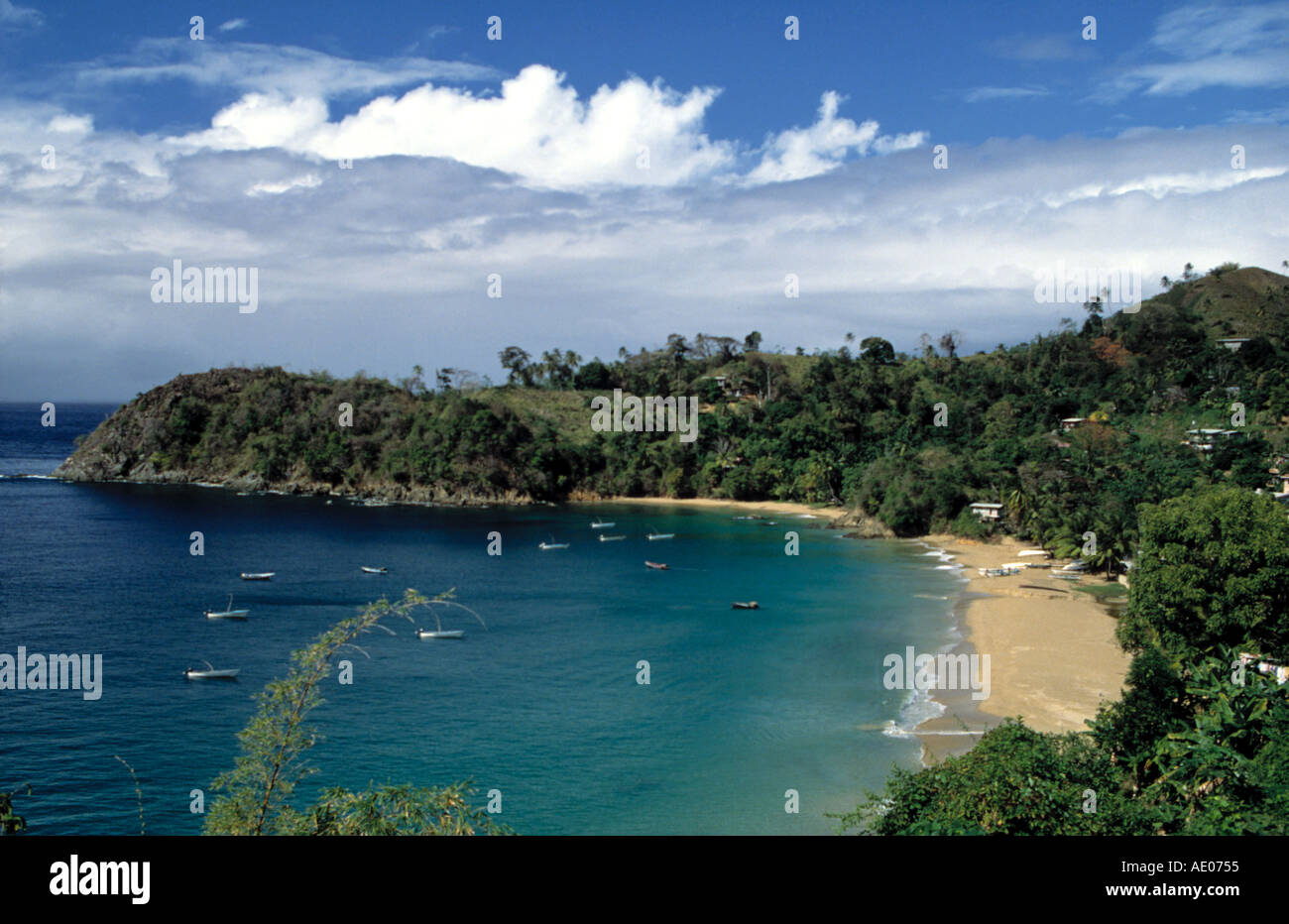 Castara Bay Beach Banque d'image et photos - Alamy