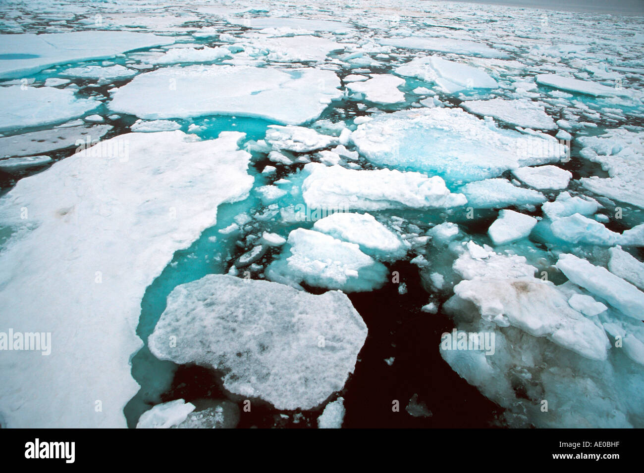 Les glaces à la dérive de la banquise banquise océan actic Treibeis Packeis Eisfeld Arktis Ozean Svalbard Spitzberg Norvège Banque D'Images