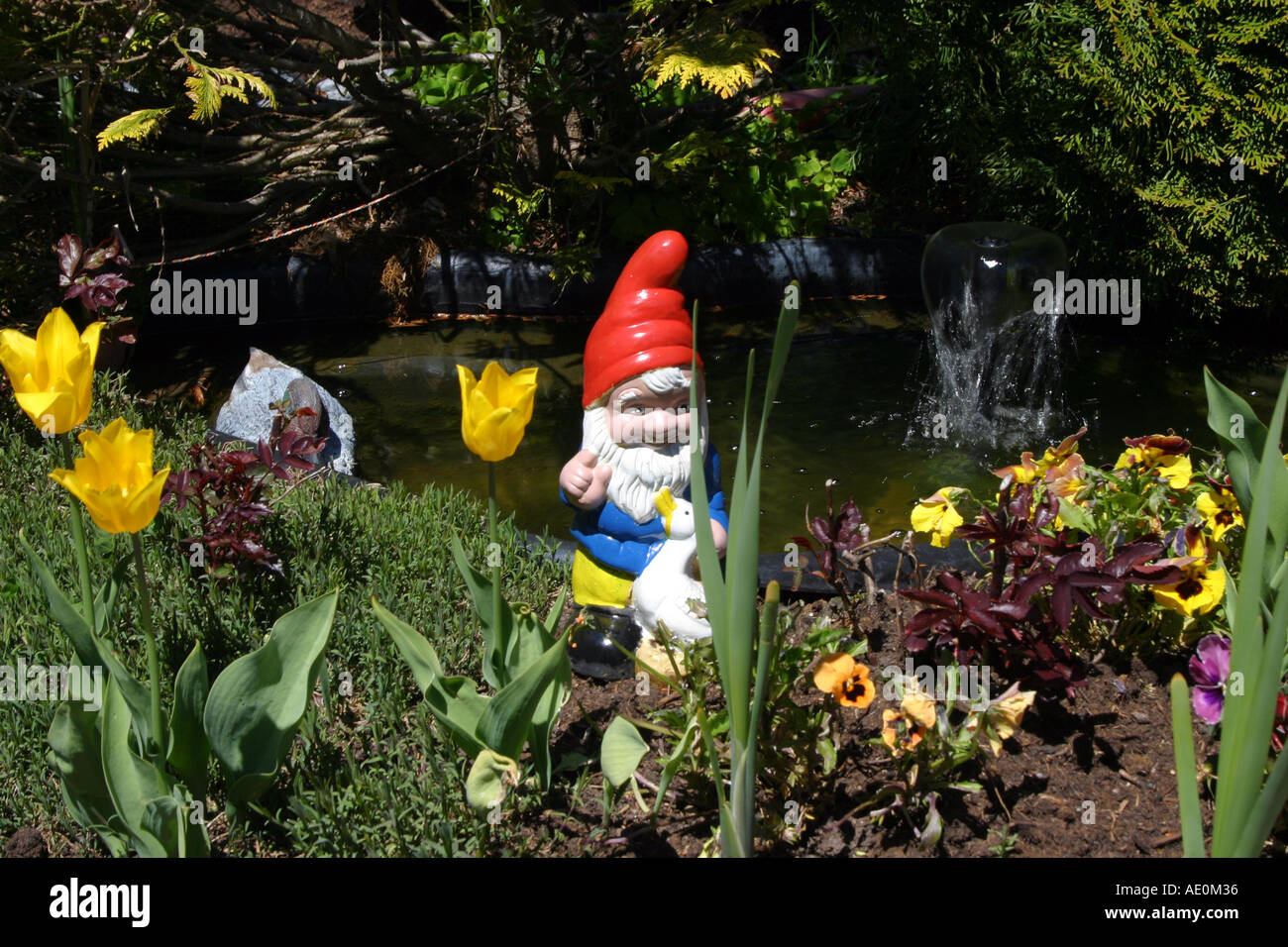 Les gnomes dans un jardin de la vallée suisse Lauterbrunnen Gimmelwald Banque D'Images