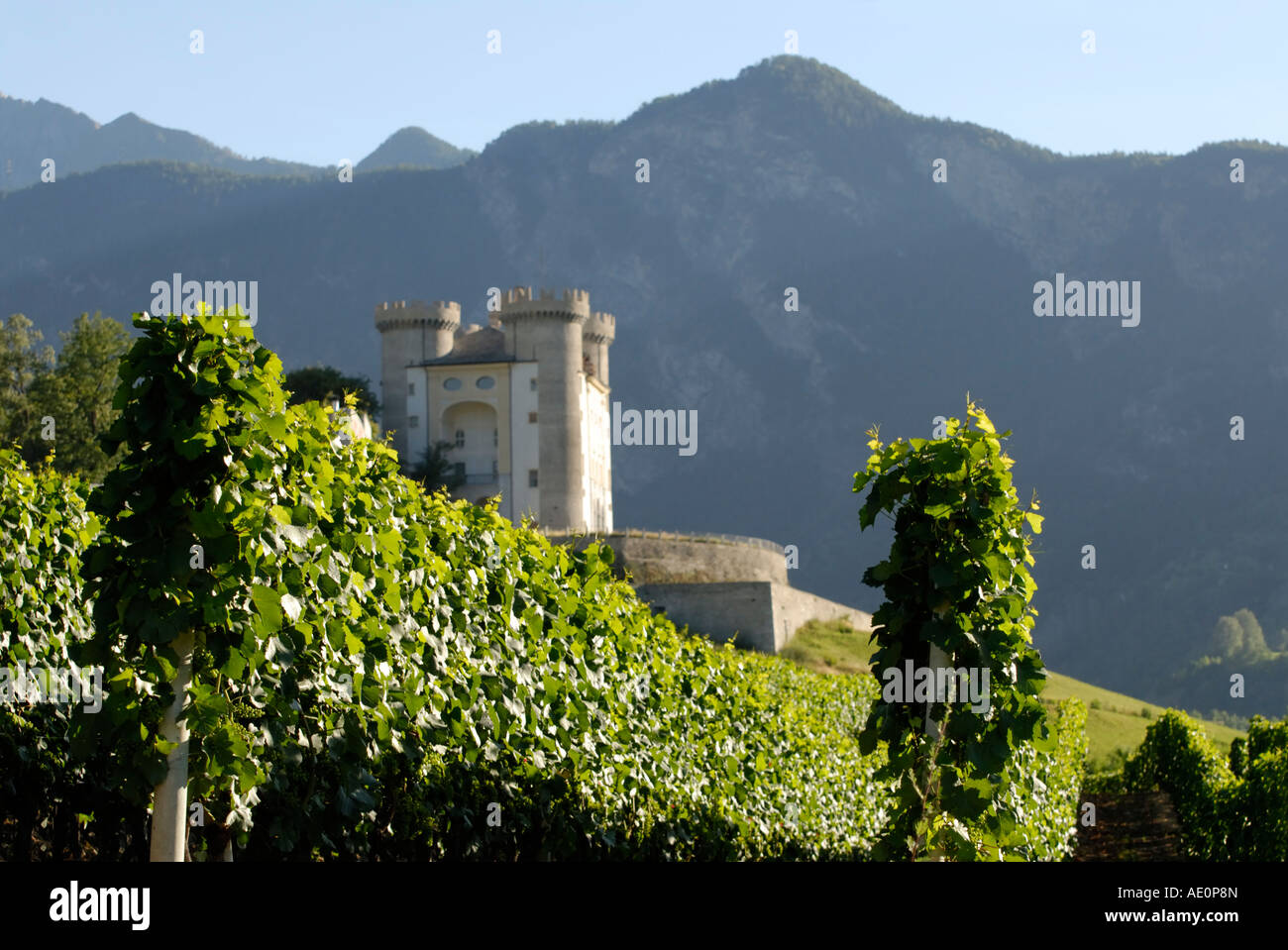 Valle d'Aoste Aymavilles château (château) avec vin vignes, Alpes Italiennes Banque D'Images