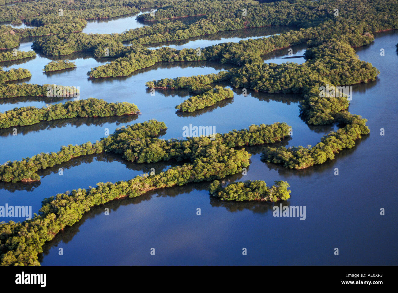 Les mangroves des îles 10 Thousend Mangroven Everglades N P Florida USA Banque D'Images