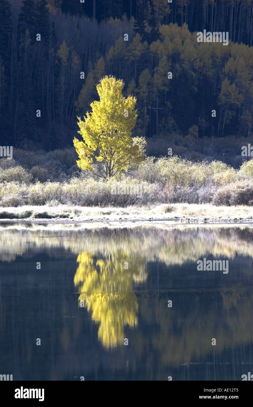 Colorado USA automne Banque D'Images