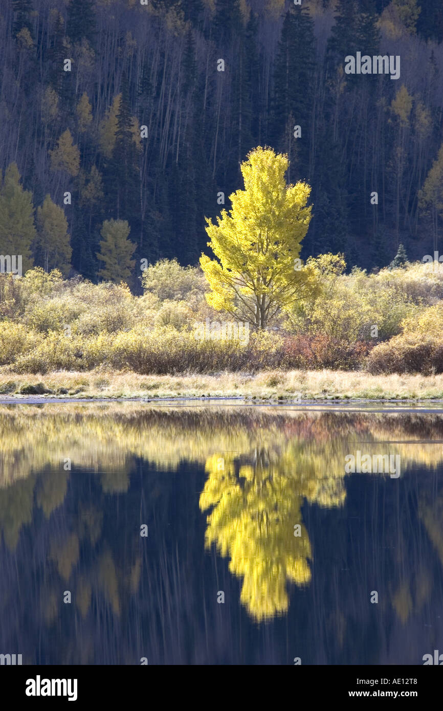 Colorado USA automne Banque D'Images