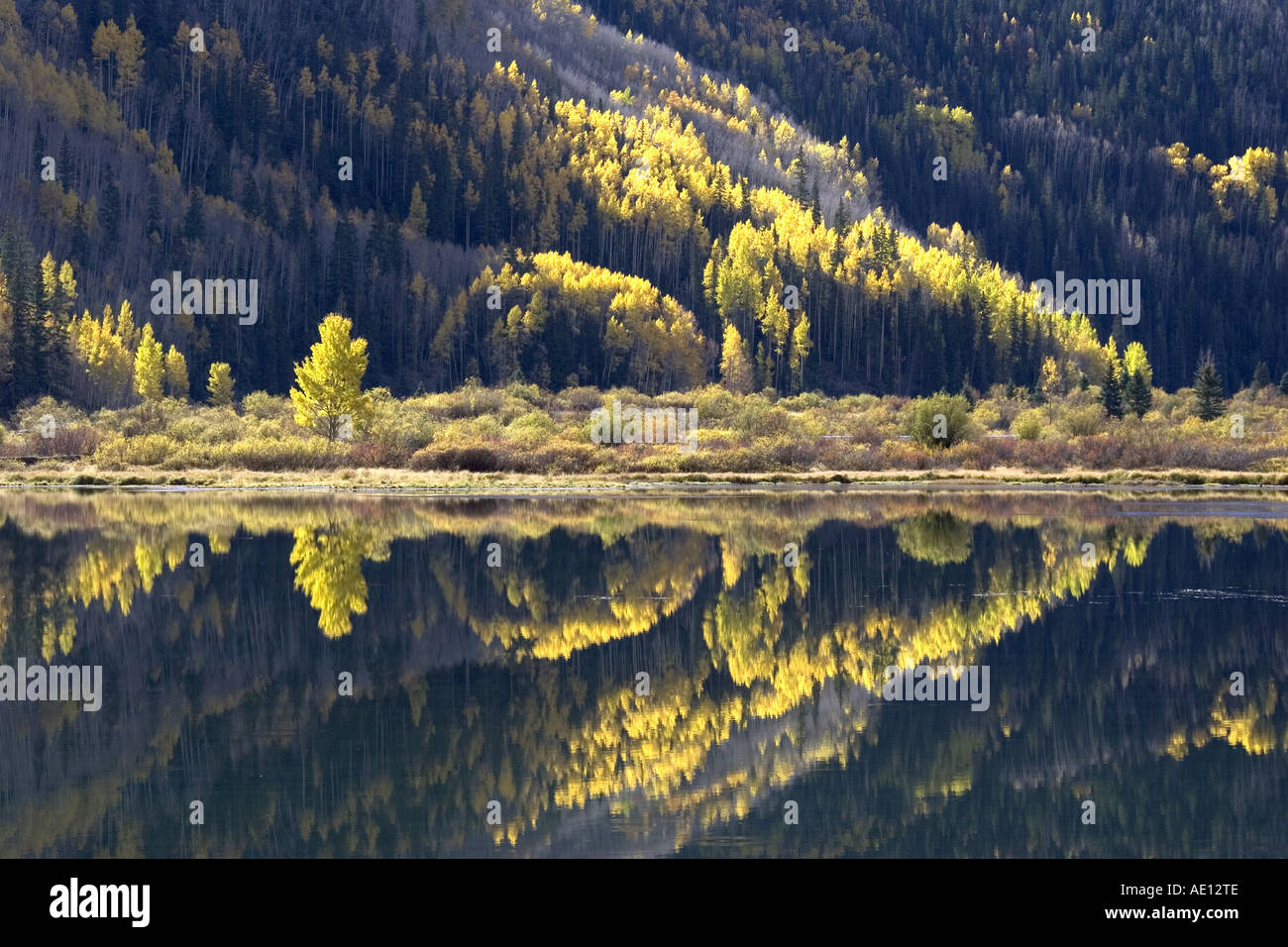 Colorado USA automne Banque D'Images