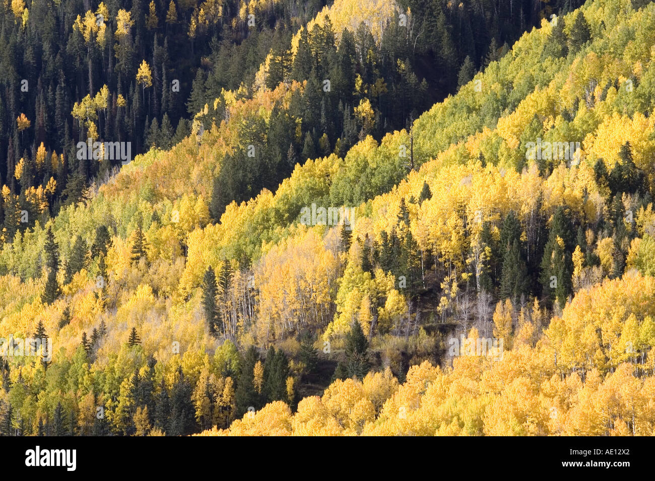 Colorado USA automne Banque D'Images