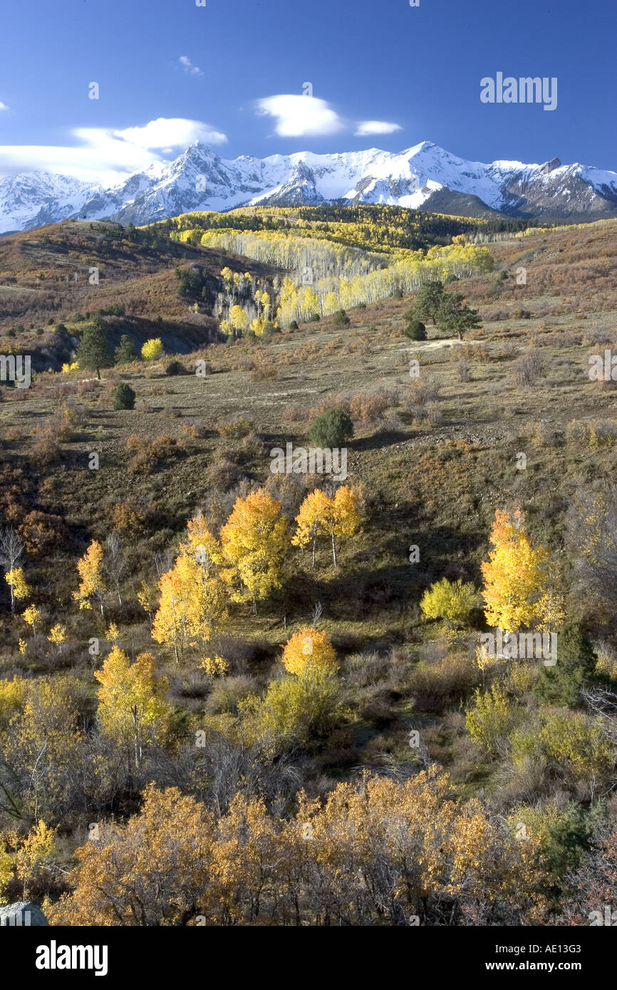 Paysage d'automne Colororado Banque D'Images