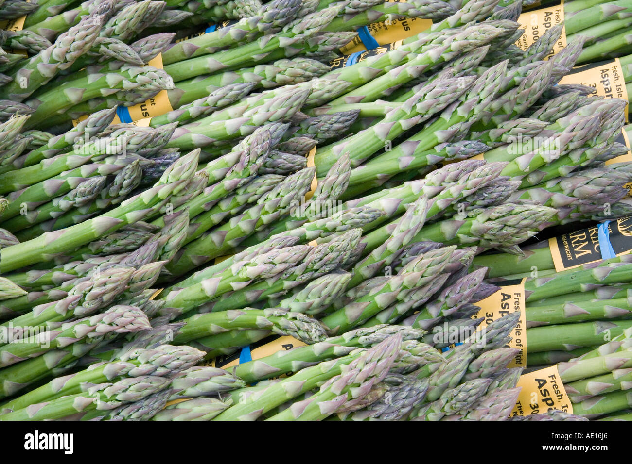 L'asperge (Asparagus officinalis) spears liés ensemble dans un groupe. Cette saison, est une bonne source d'acide folique, bêta- Banque D'Images