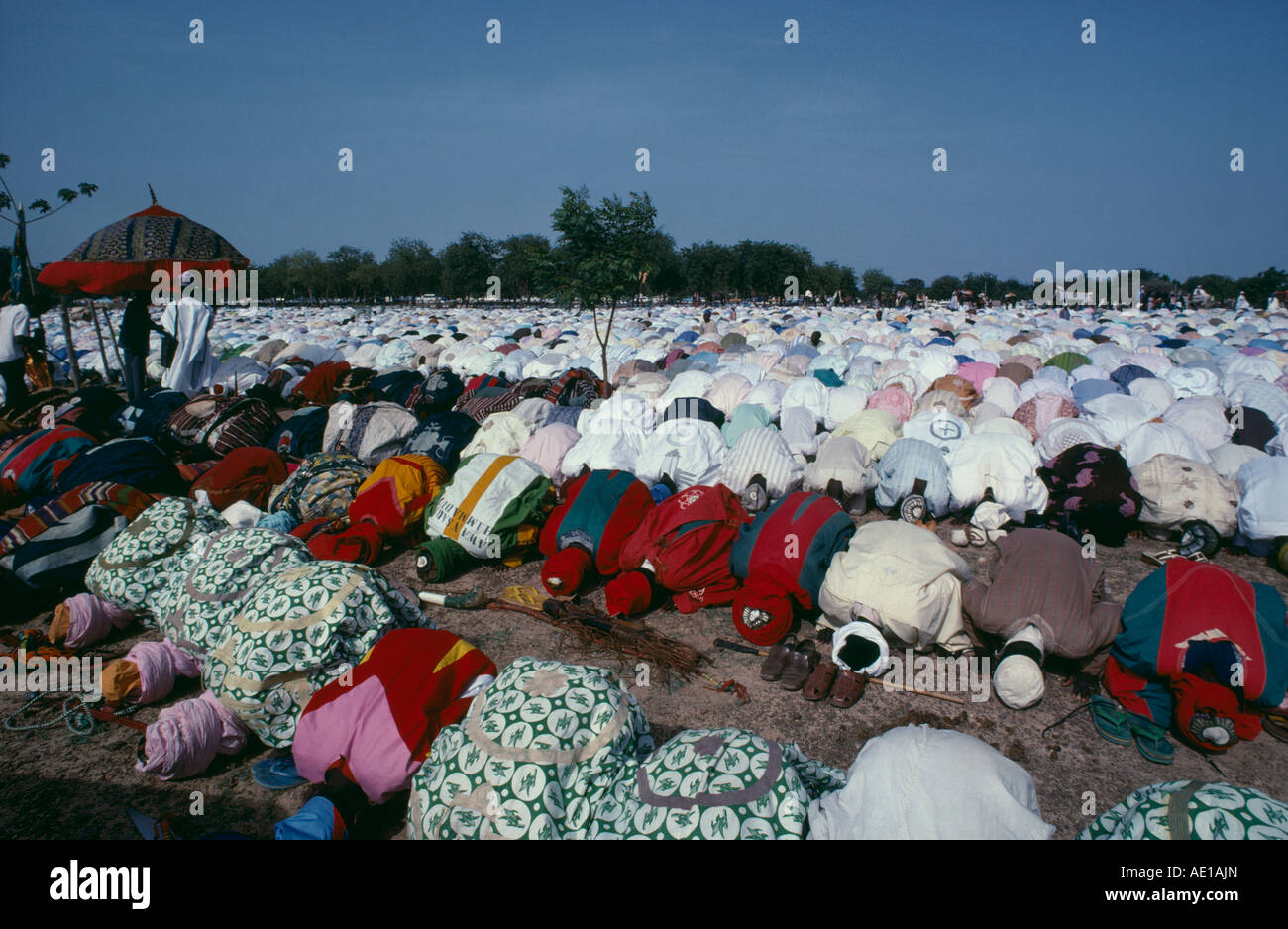 L'Afrique de l'Ouest NIGERIA Katsina Salah jour marquant la fin du Ramadan. Lignes d'hommes musulmans agenouillés en prière. Banque D'Images