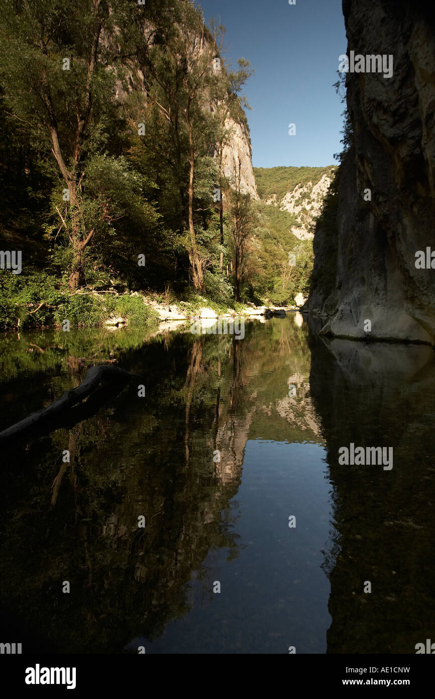 Dans le flux de Sentino Gola Rossa et de Frasassi national park en été dans les montagnes des Apennins en Italie Banque D'Images