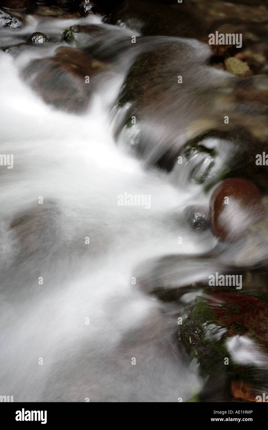 L'eau qui coule sur les rochers en stream Banque D'Images