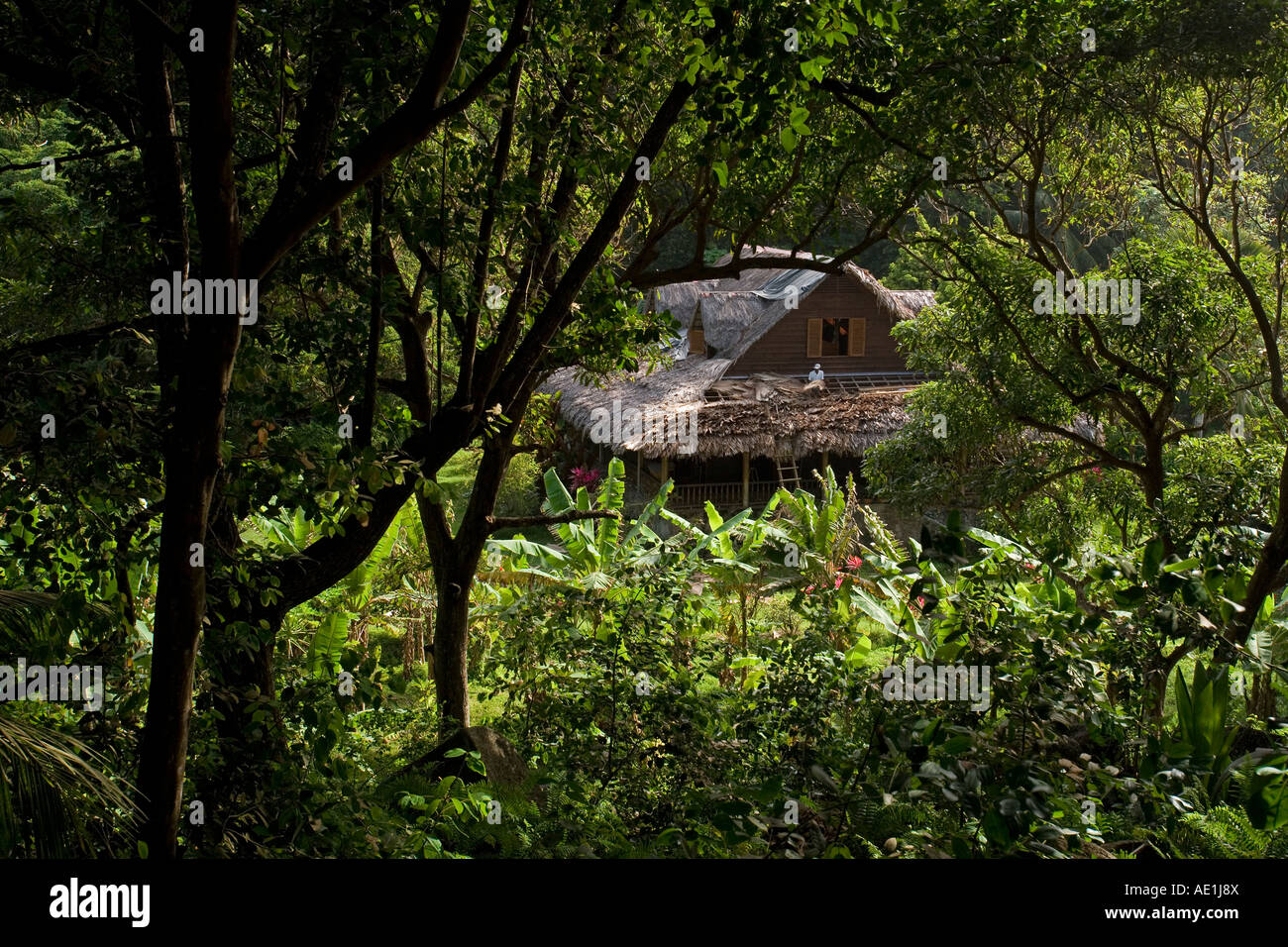 Vieille maison créole sur l'île de La Digue, Seychelles Banque D'Images