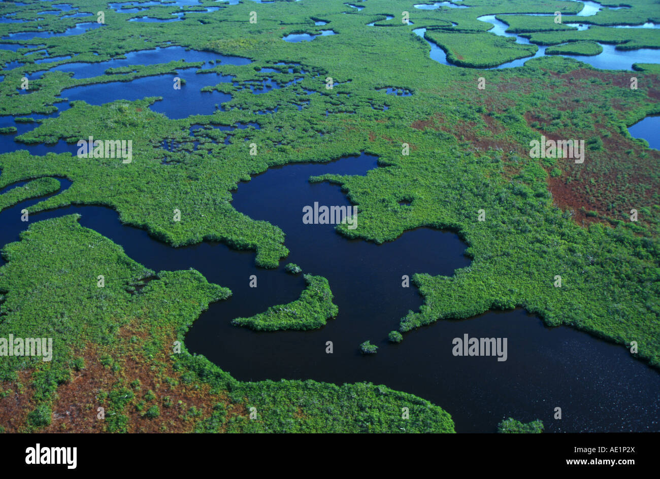 Vue aérienne du Parc National des Everglades en Floride USA Banque D'Images