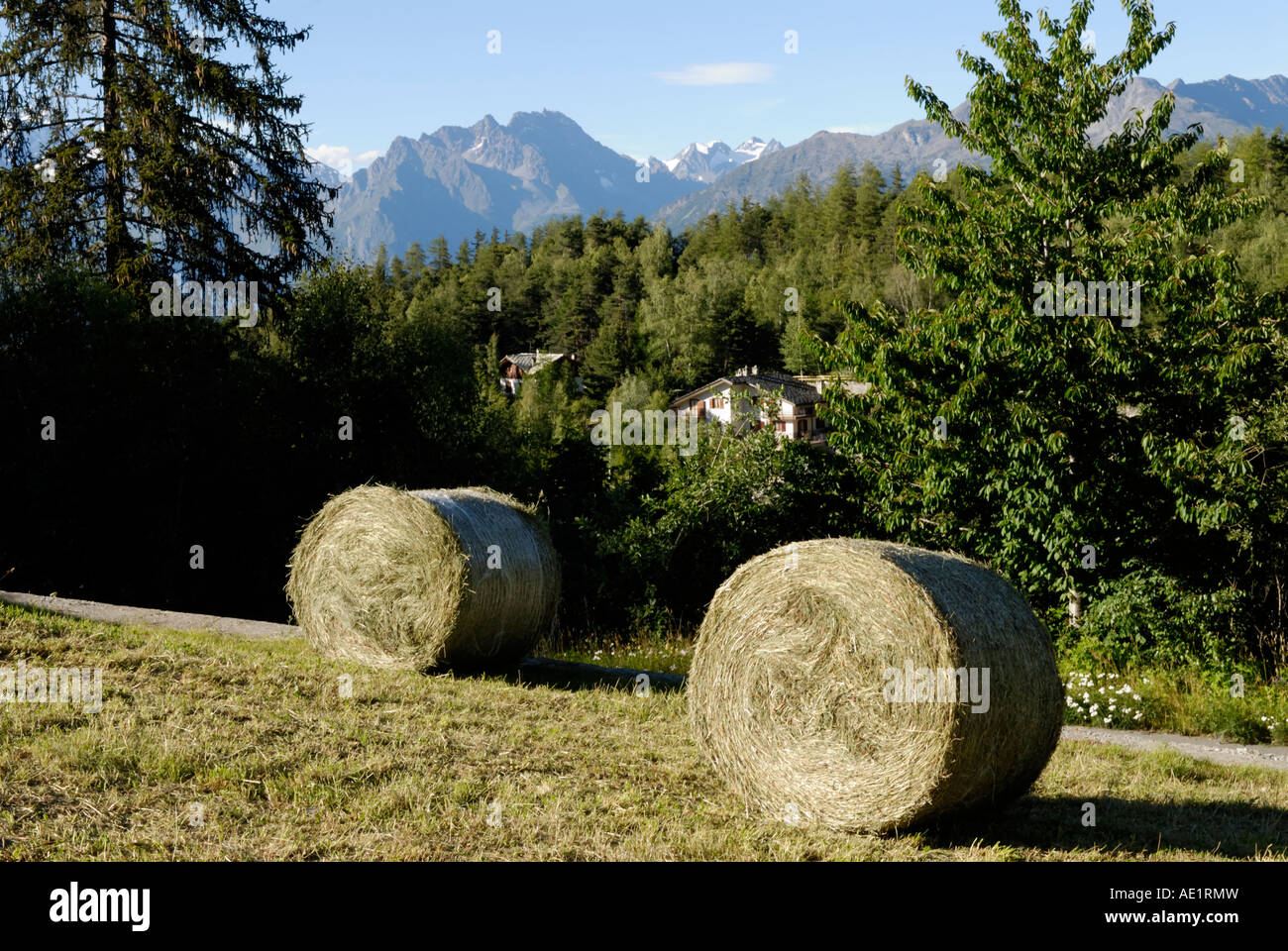 Foin roulé, vue sur les Alpes, Turlin, la vallée de Cogne, Italie Banque D'Images