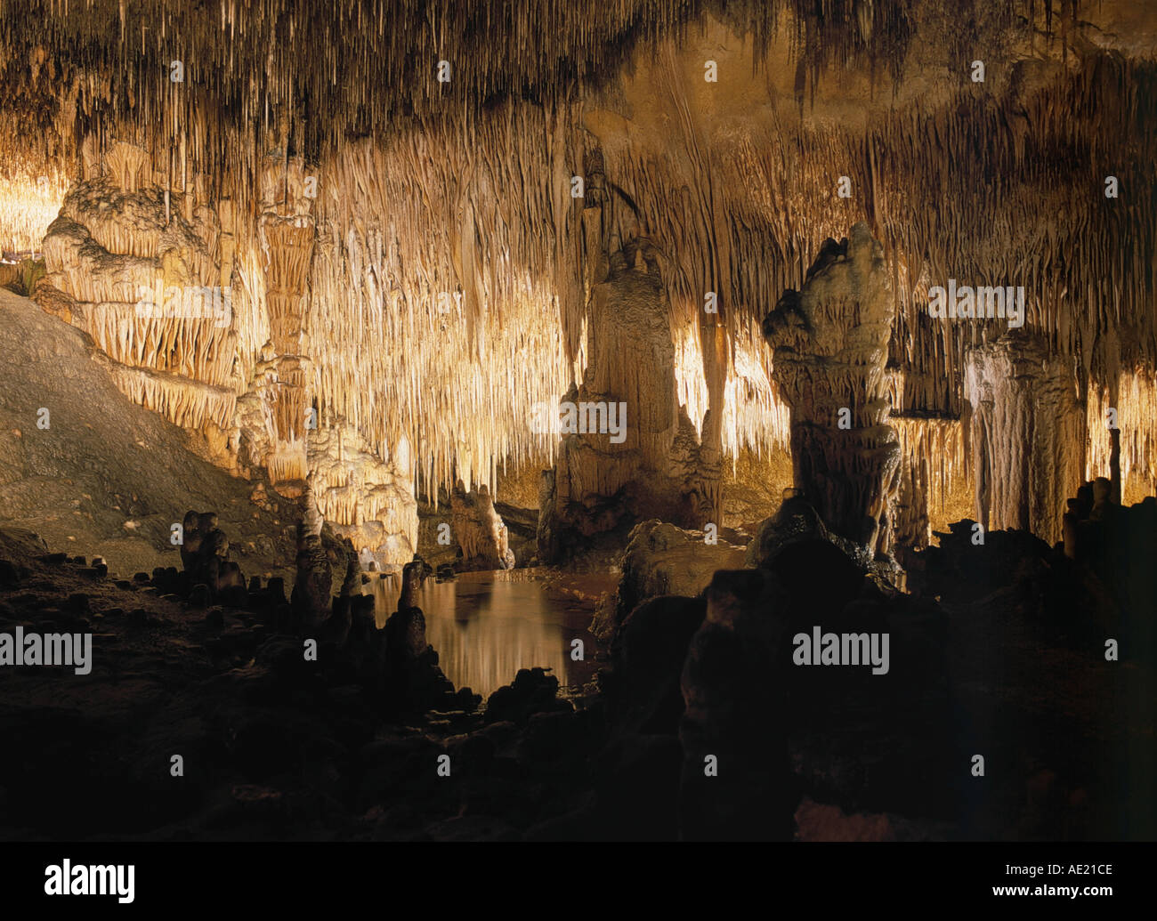 Cuevas del Drach grotte île de Majorque Îles Baléares Espagne Banque D'Images