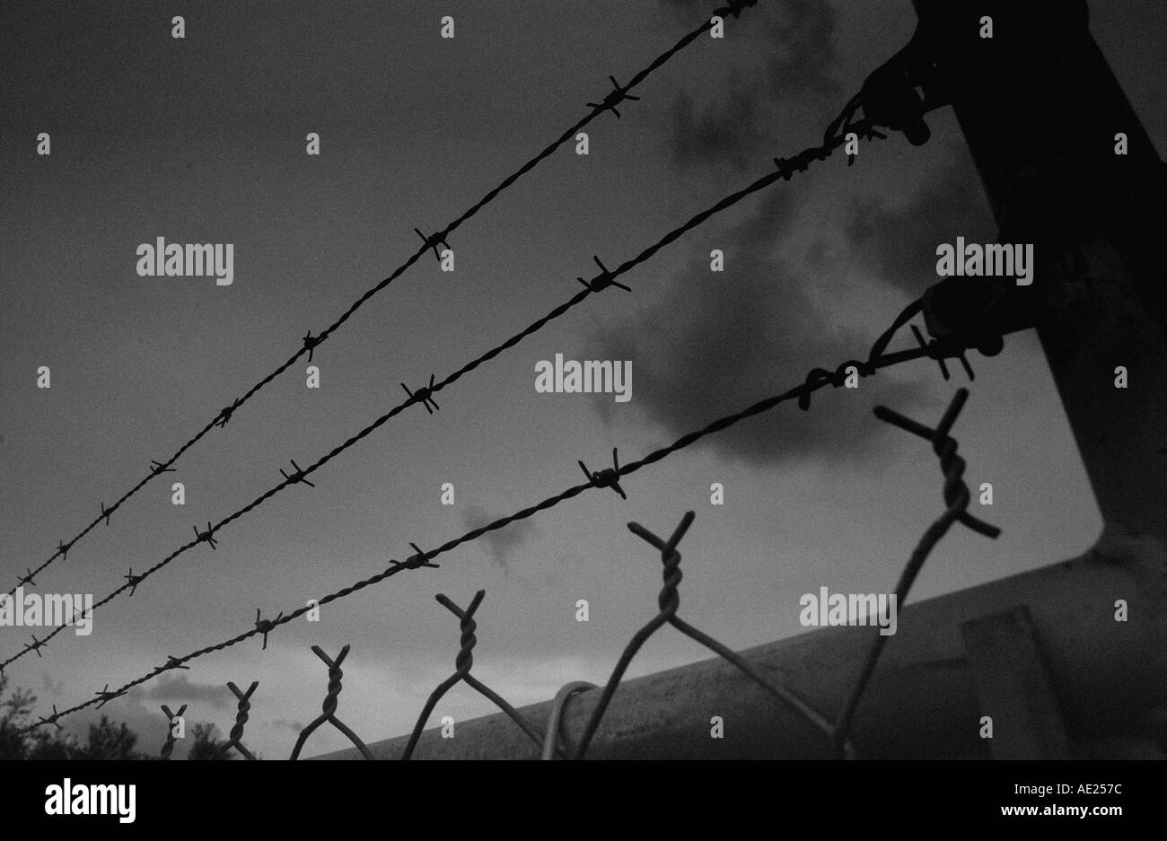 Barbelés et grillage silhouetted against sky Banque D'Images