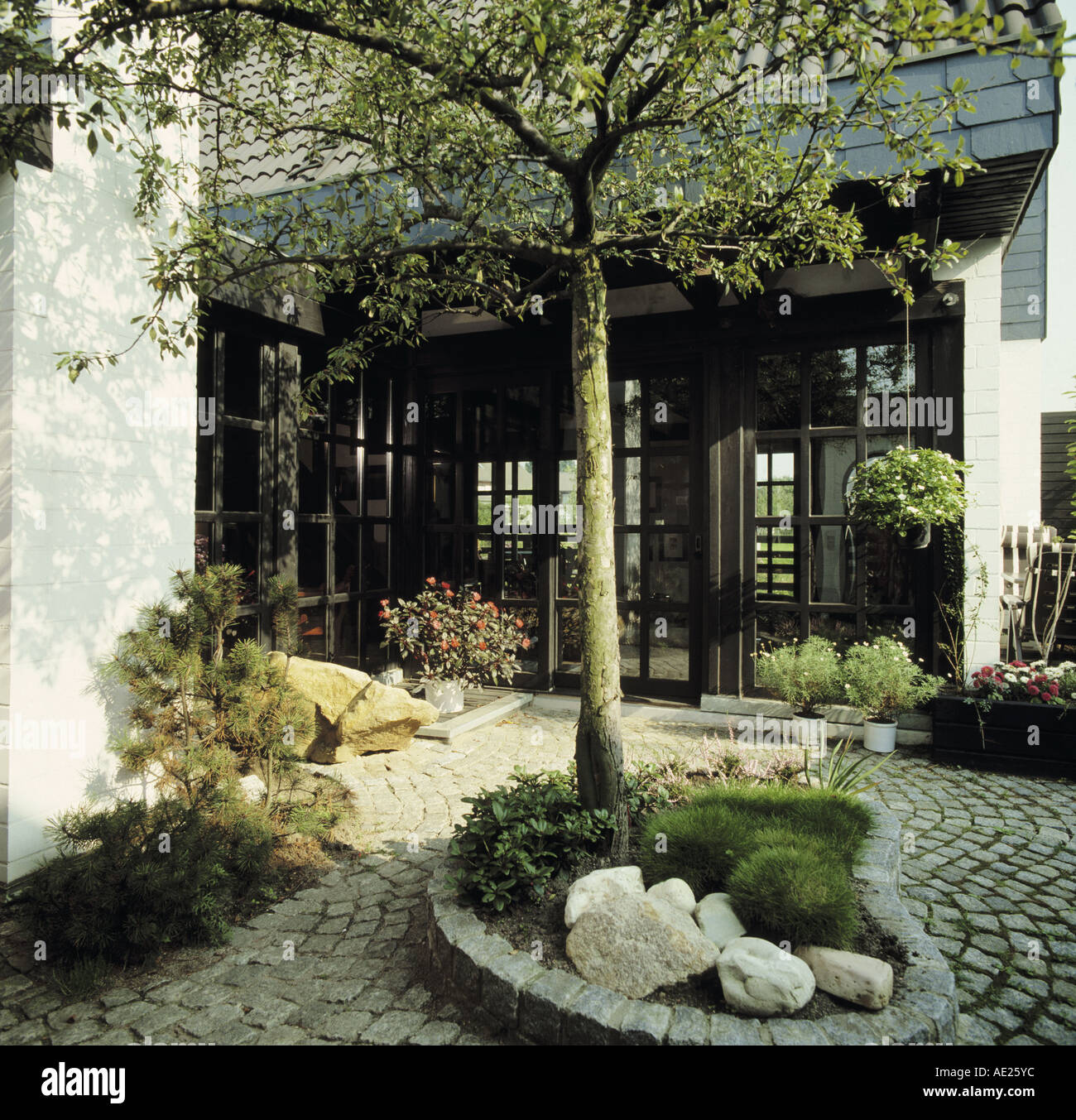 Petit arbre et de grosses pierres et de la mousse de style oriental en lit circulaire bordé de pierre dans la zone pavée en face de maison moderne Banque D'Images