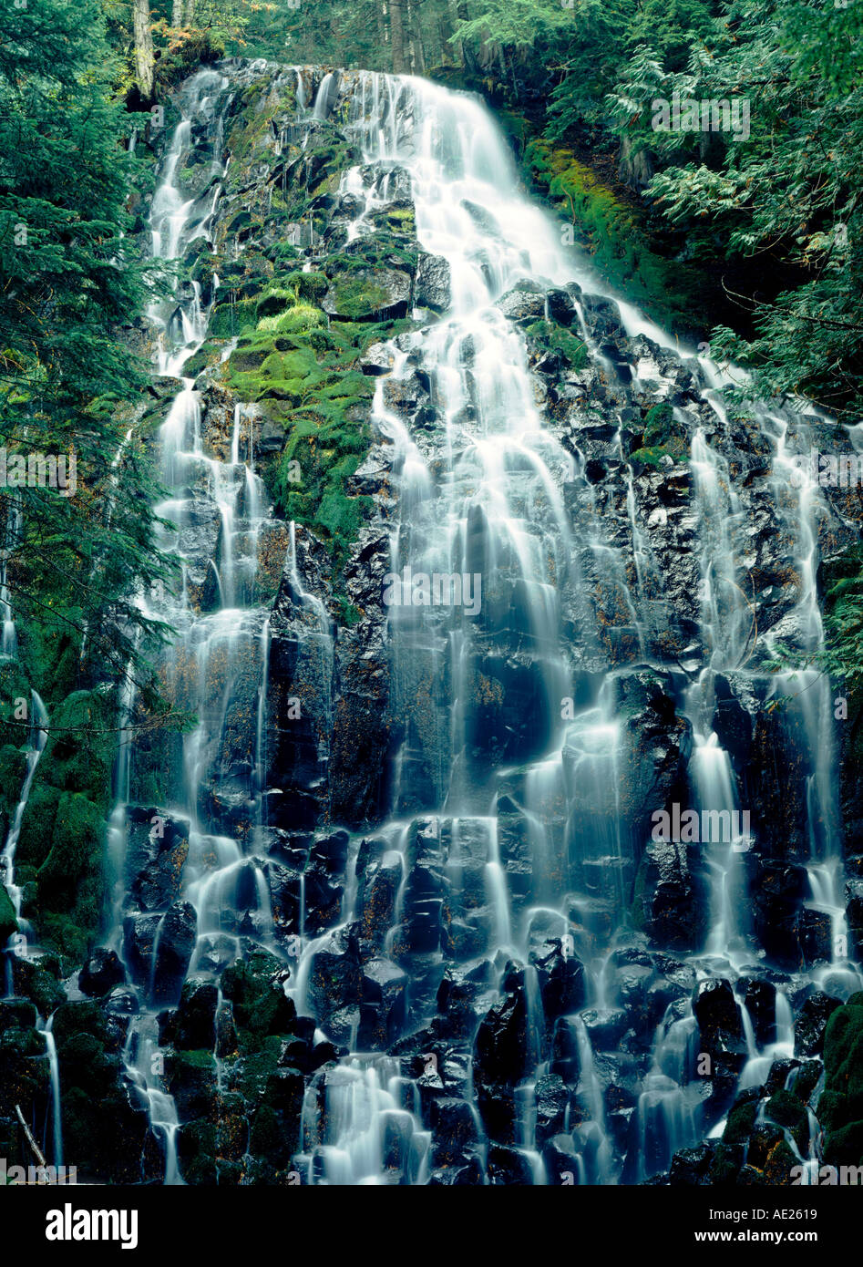 Ramona Falls dans la forêt nationale de Willamette en Oregon USA Banque D'Images