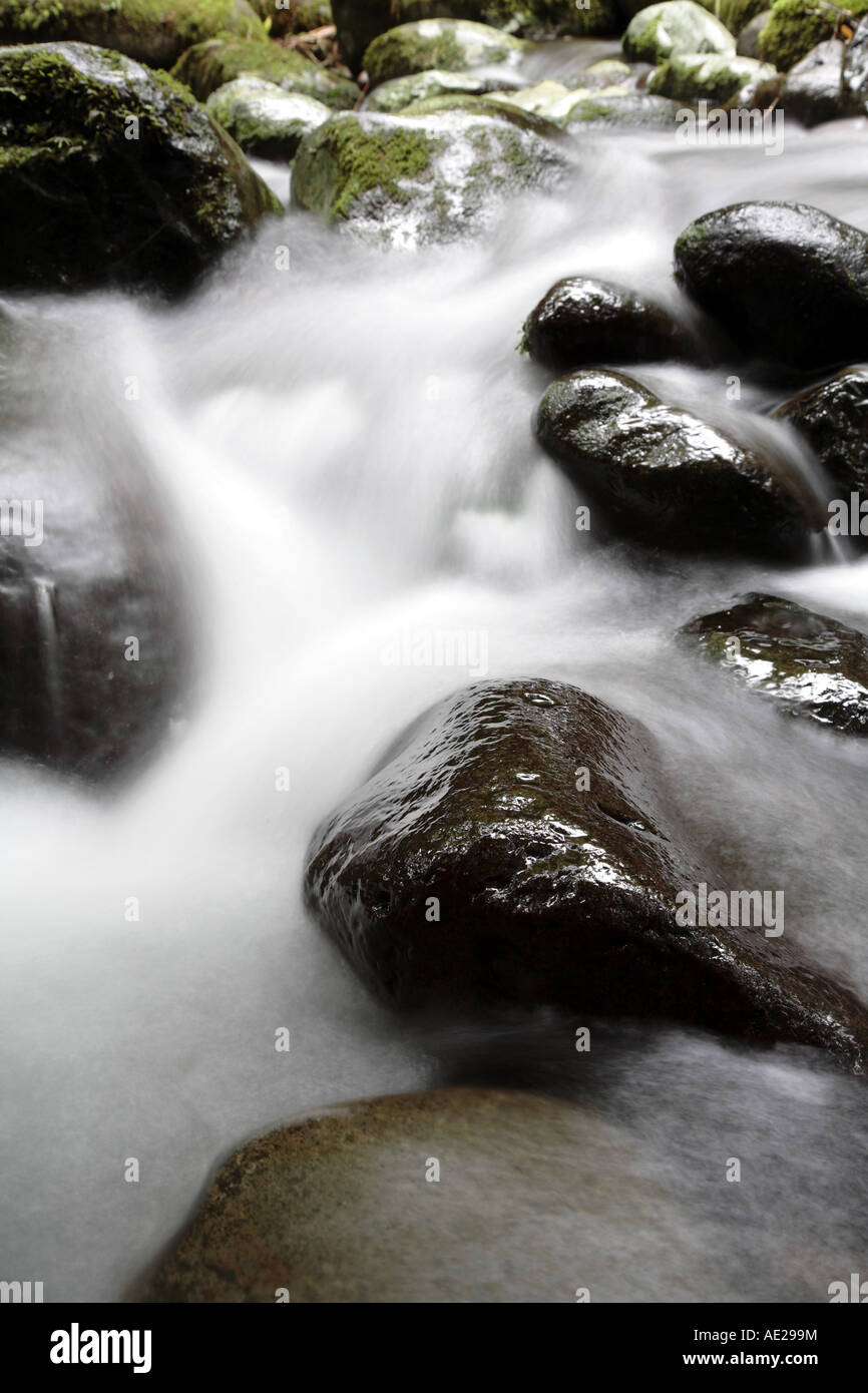 Stream et rochers Banque D'Images