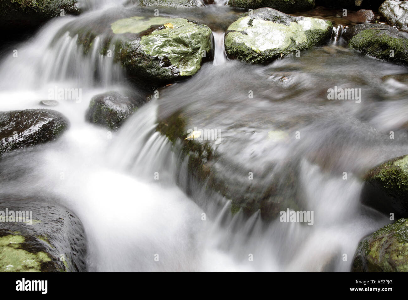 Flux de données Banque D'Images