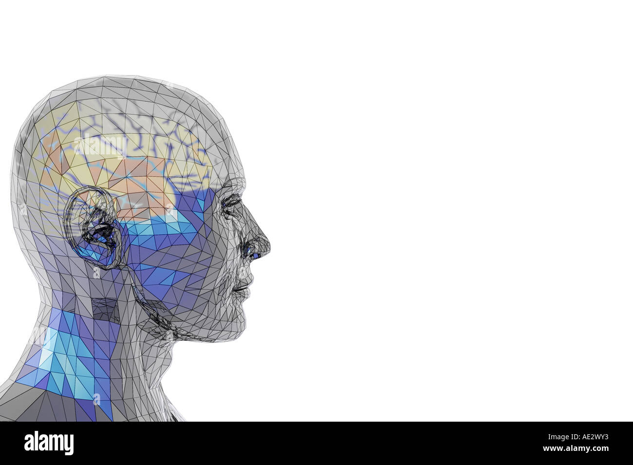 Tête d'homme de fer avec brain Banque D'Images