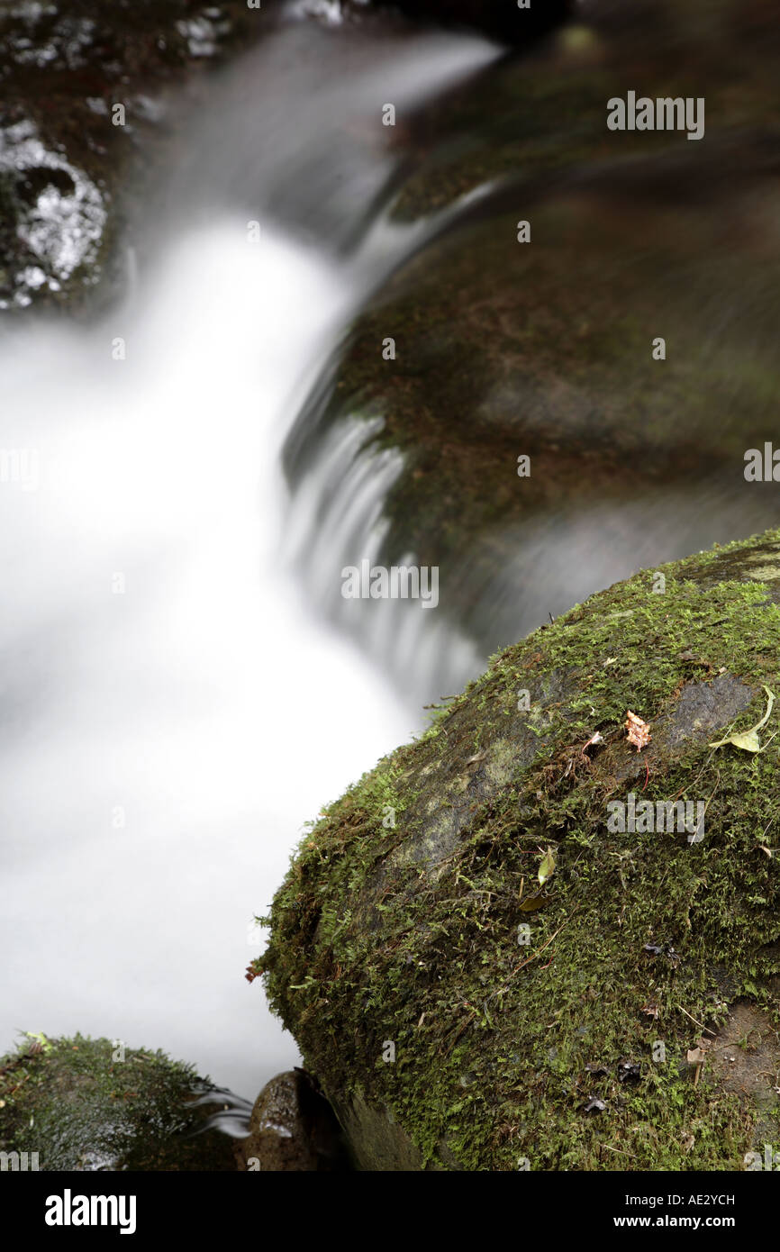 Flux de données Banque D'Images