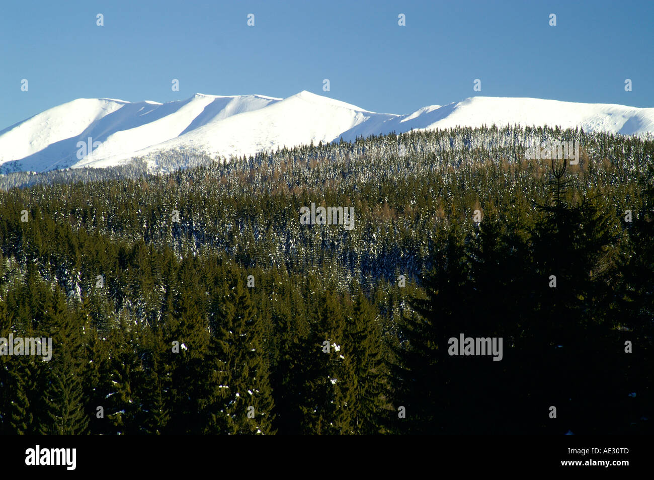Mt Prasiva Nizke Tatry, la montagne, la Slovaquie en hiver Banque D'Images