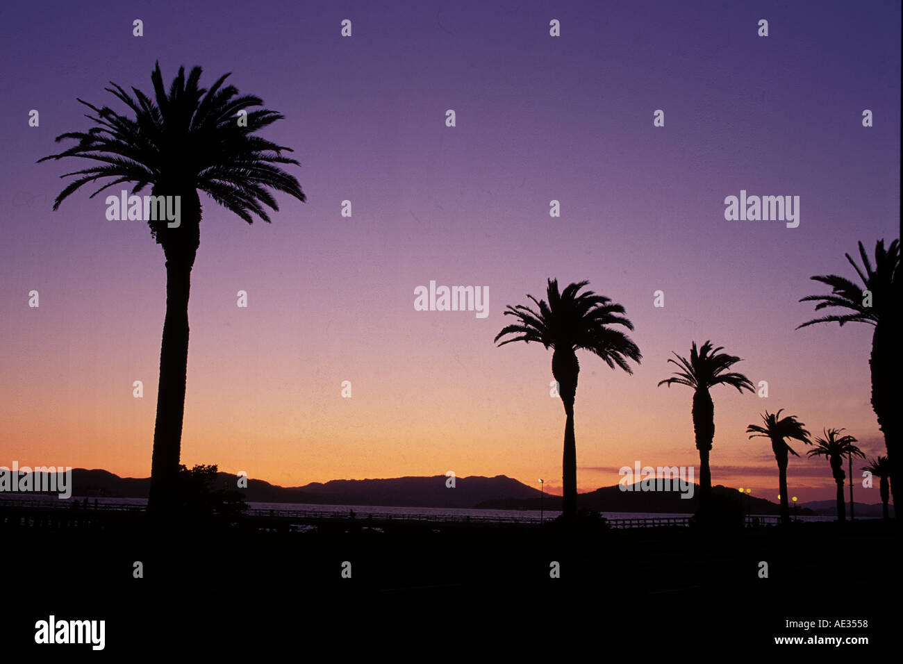 La Californie, San Francisco Bay, de palmiers au coucher du soleil, l'île au trésor Banque D'Images