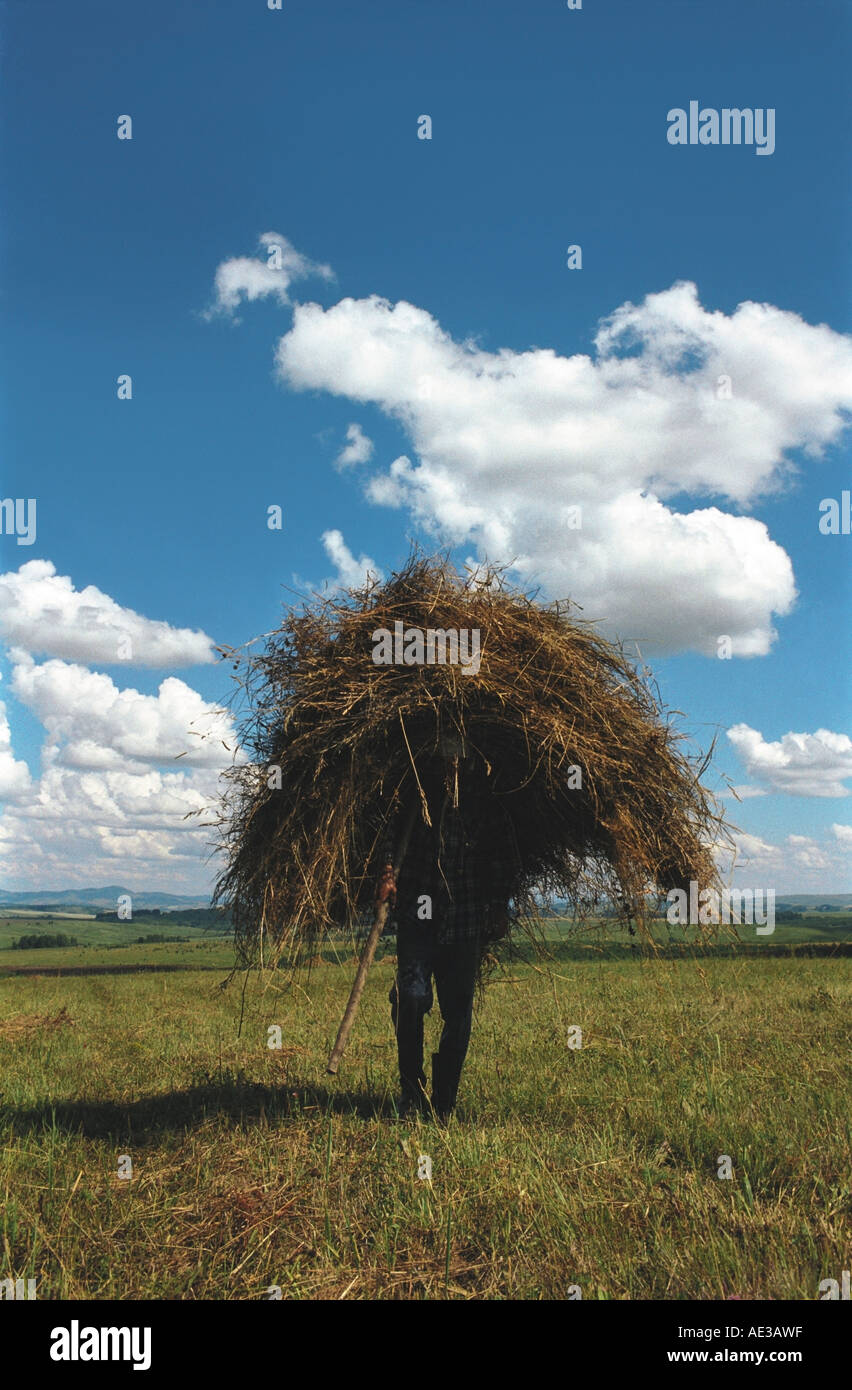 Un agriculteur transportant haycock sur ses épaules. Altaï. La Sibérie. La Russie Banque D'Images