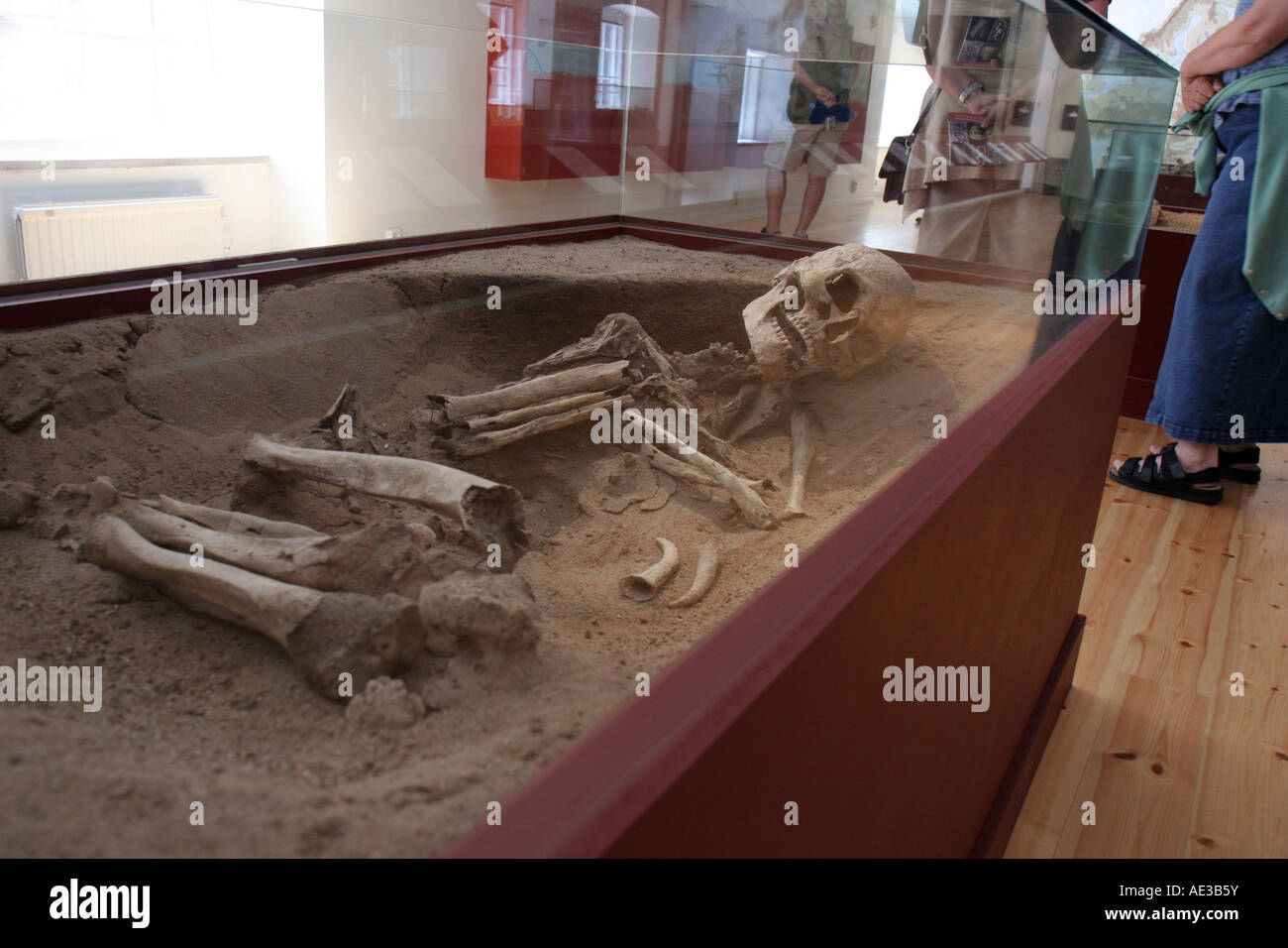 Squelette dans une tombe au musée Gotlands Fornsal, à Visby, Gotland, Suède Banque D'Images