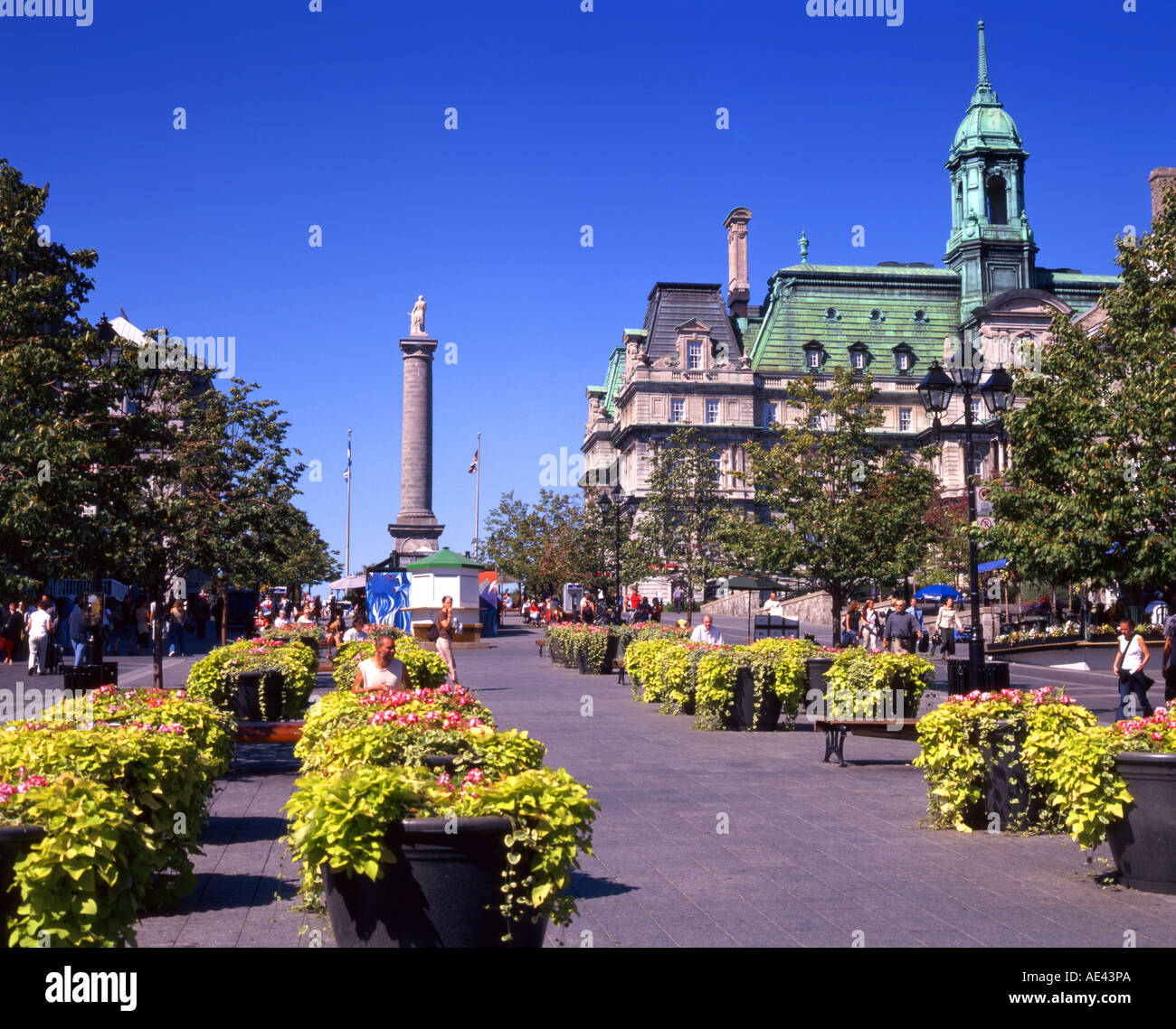 Place Jacques Cartier avec l'Hôtel de Ville et la Colonne Nelson en arrière-plan Banque D'Images