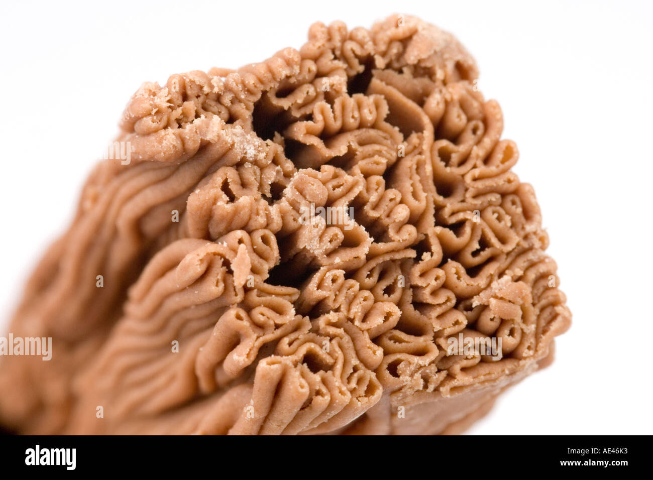 Chocolat Cadburys flake bar Banque D'Images Chocolat Cadburys flake bar Banque D'Images