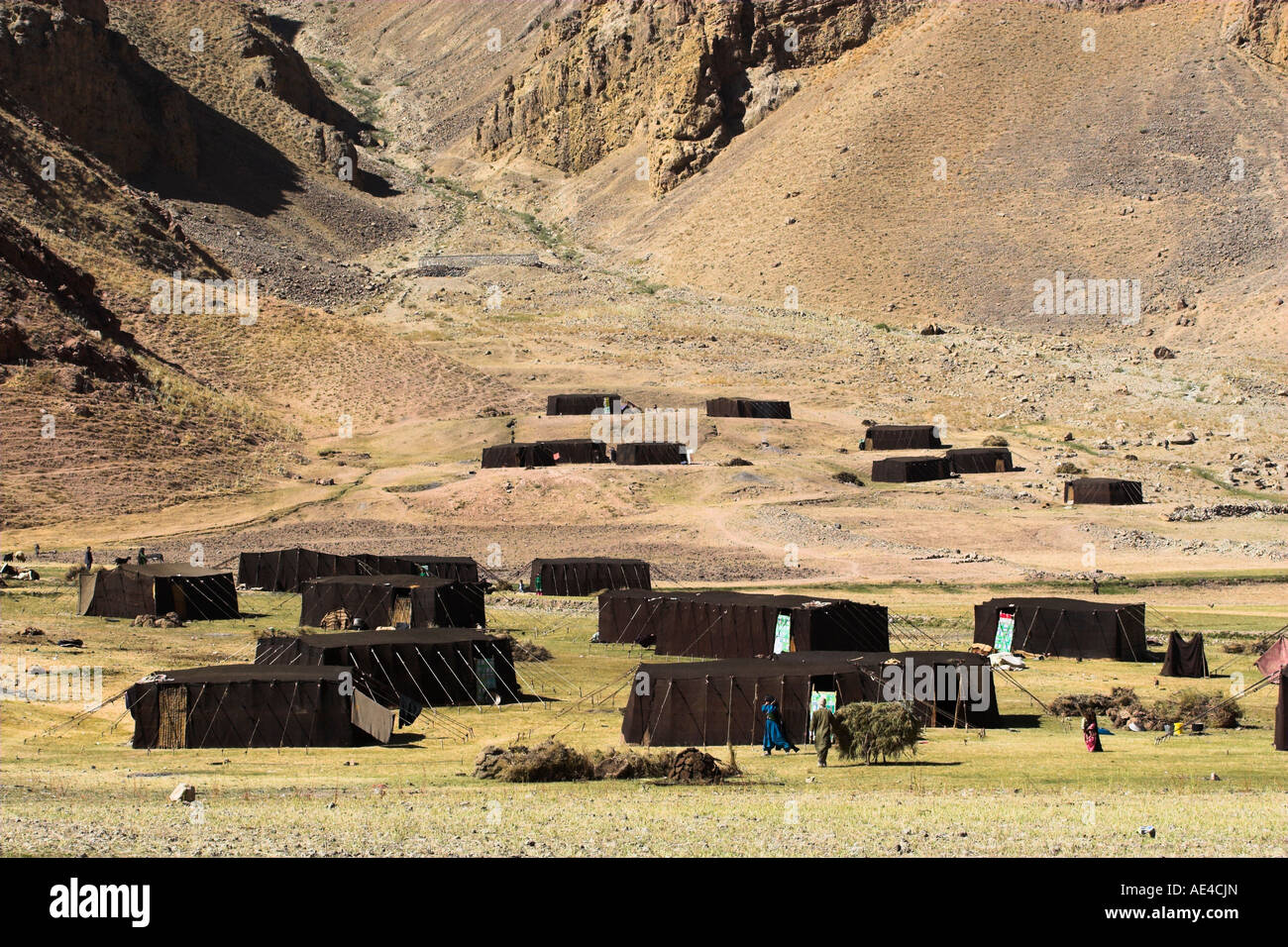 Yourtes d'été au camp de l'Aimaq semi-nomades, entre Chakhcharan et confiture, Pal-Kotal-i-Guk, Afghanistan, Asie Banque D'Images