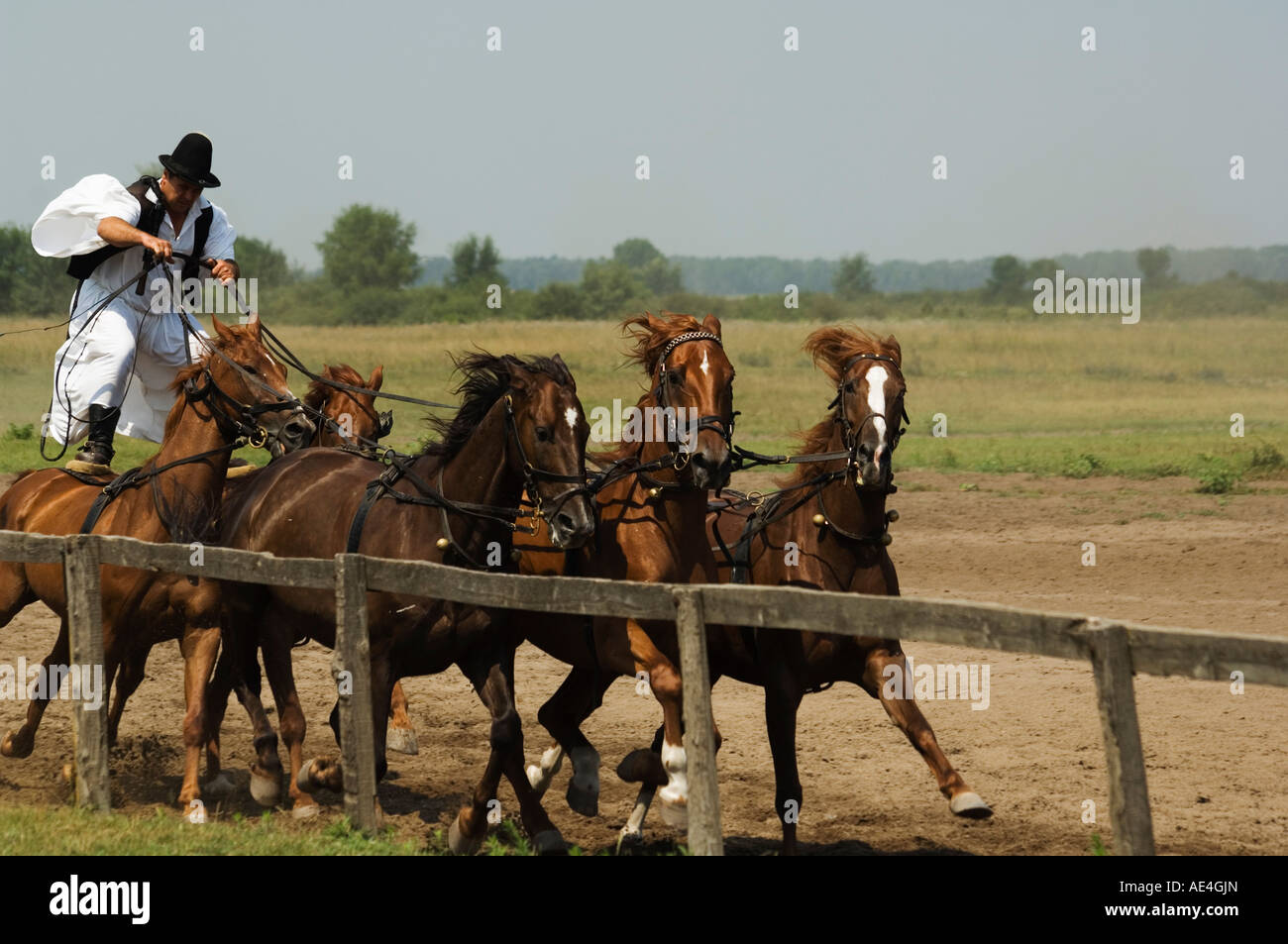 Horse Show cowboy hongrois Bugaci Kiskunsagi, Ville, Parc National, Hongrie, Europe Banque D'Images