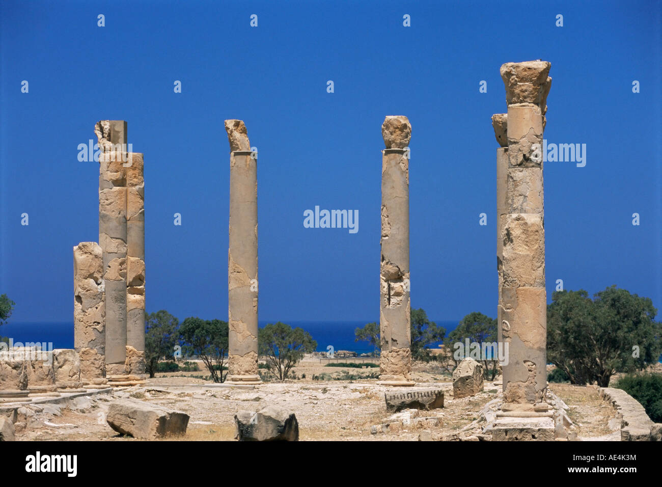 Les colonnes du palais, Tolemaide (Ptolémaïs), la Cyrénaïque, Libye, Afrique du Nord, Afrique Banque D'Images