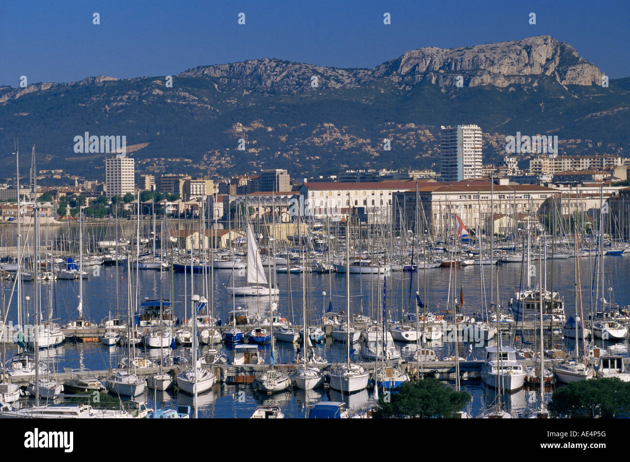 Port de plaisance et du centre-ville, Toulon, Var, Cote d'Azur, Provence, France, Europe, Méditerranée Banque D'Images
