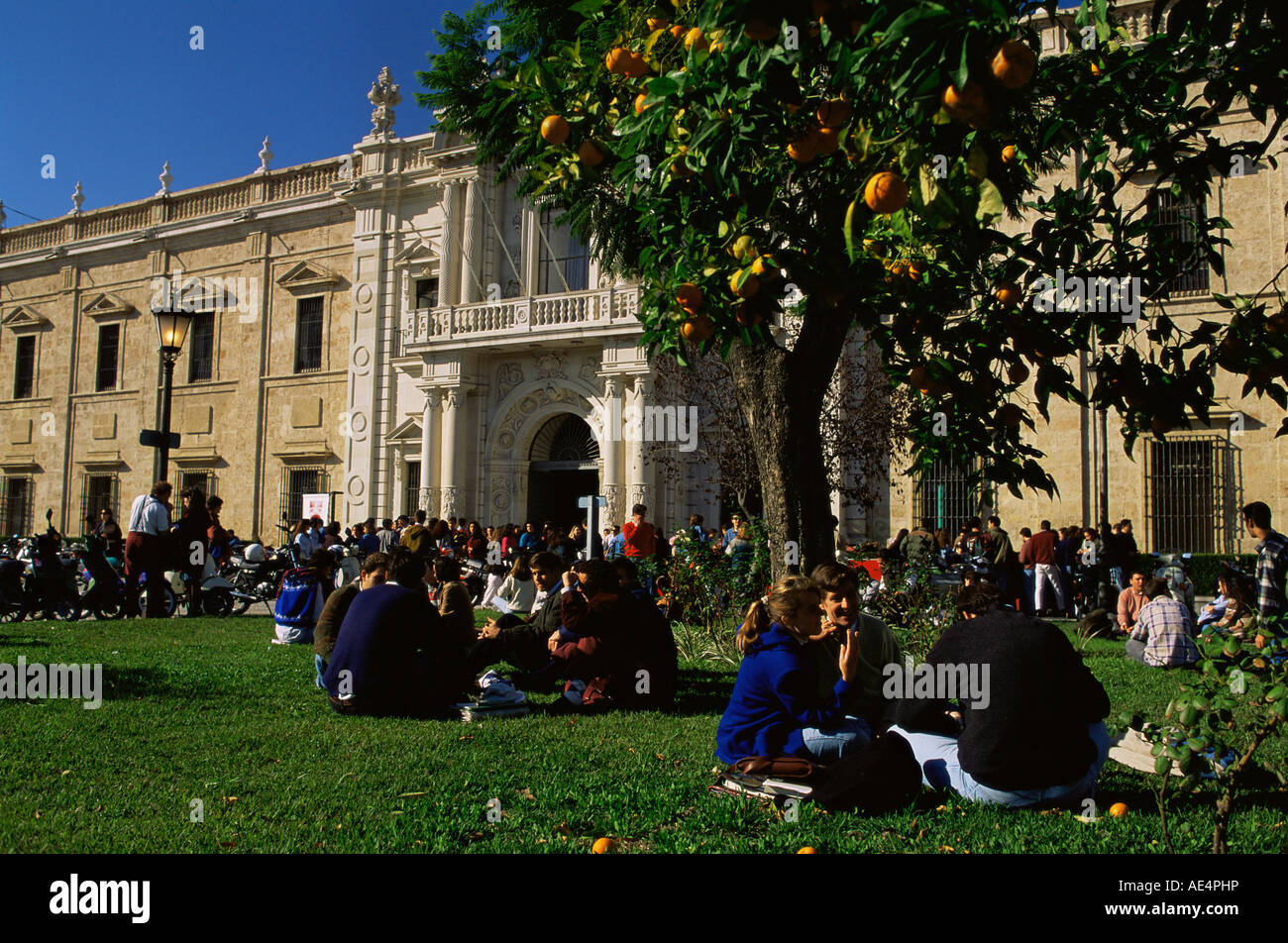 L'Université de Séville, construite dans les années 1750 que l'état de l'usine de tabac, Séville, Andalousie, Espagne, Europe Banque D'Images