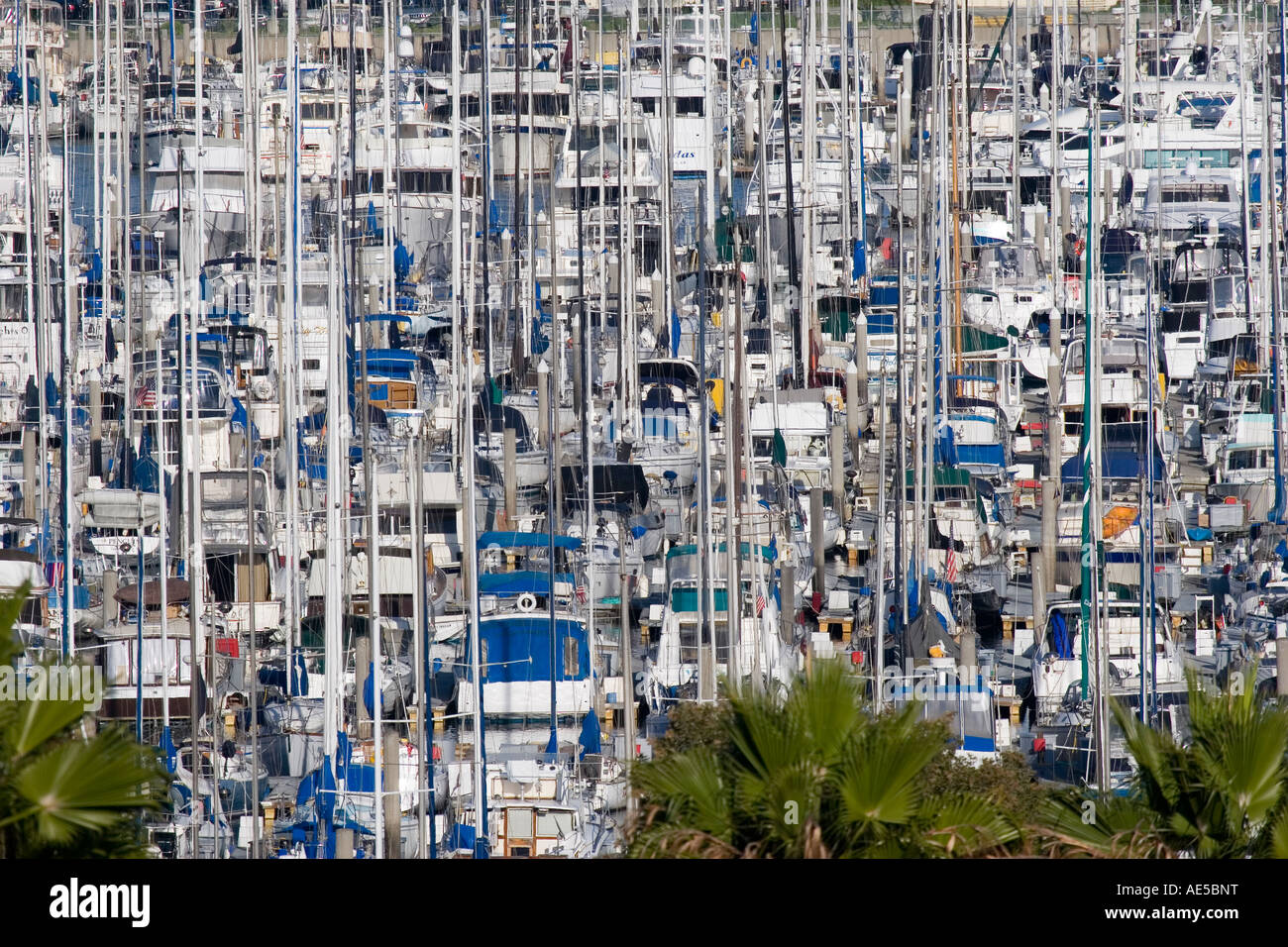 Des centaines de bateaux et de mâts entassés à quai à Los Angeles Marina Marina del Rey Los Angeles Californie Banque D'Images