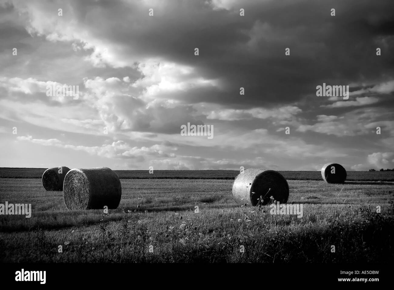 Photo en noir et blanc de hay rolls sur un Pennsylvania farm Banque D'Images