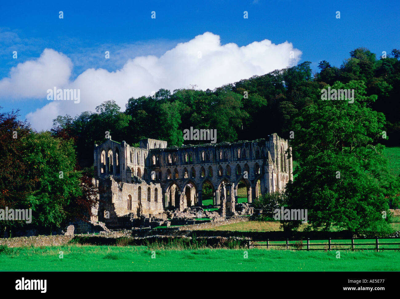 Ruines Rievaulx abbaye fondée par des moines cisterciens à North Yorkshire Angleterre Banque D'Images