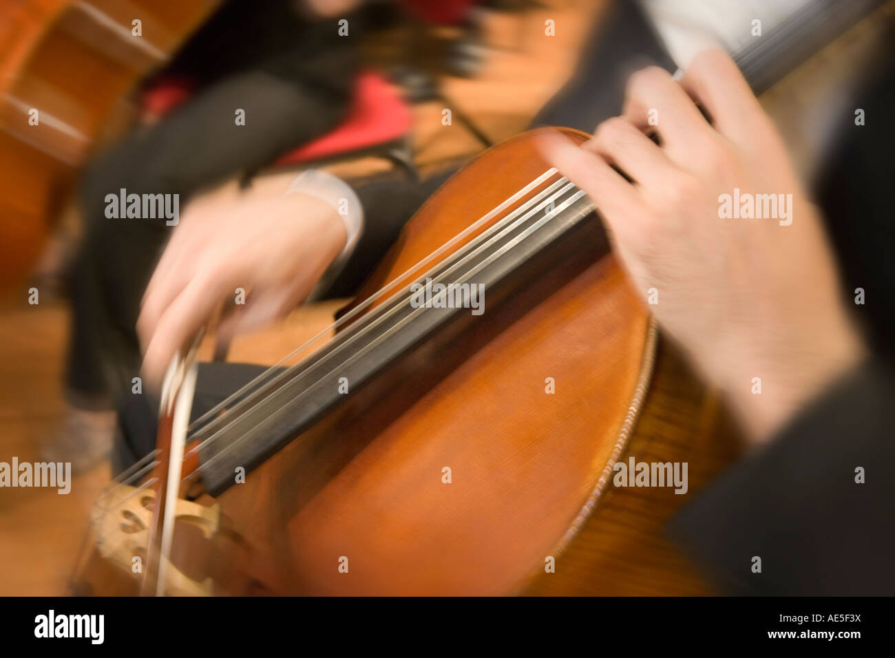 Le violoncelliste de l'Orchestre de musique classique de la lecture d'un violoncelle pendant un concert Banque D'Images