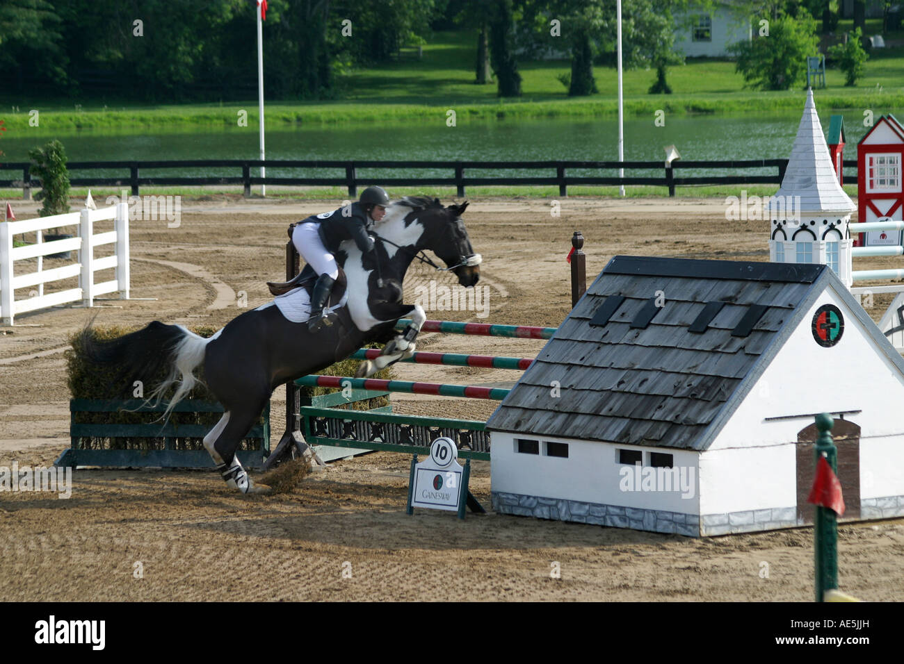Femme rider sur Paint horse jumping over protection double en saut la concurrence au Kentucky Horse Park de Lexington Banque D'Images